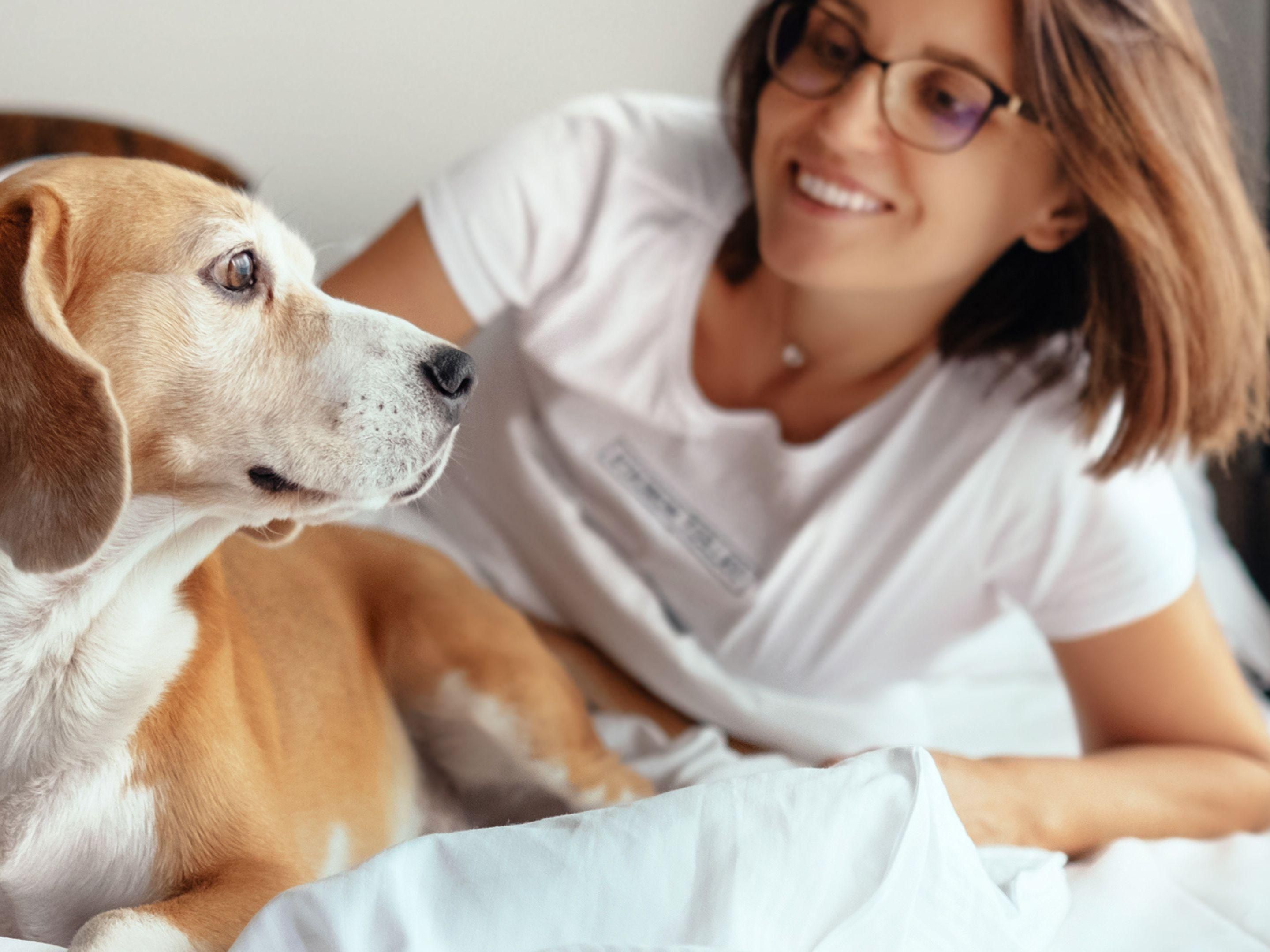 Bring your furry friend along to Holiday Inn Express Cardiff Bay! For just £15 per pet per stay, enjoy comfortable rooms and a warm welcome in a prime location. Perfect for pet lovers seeking convenience and comfort by the bay. 
