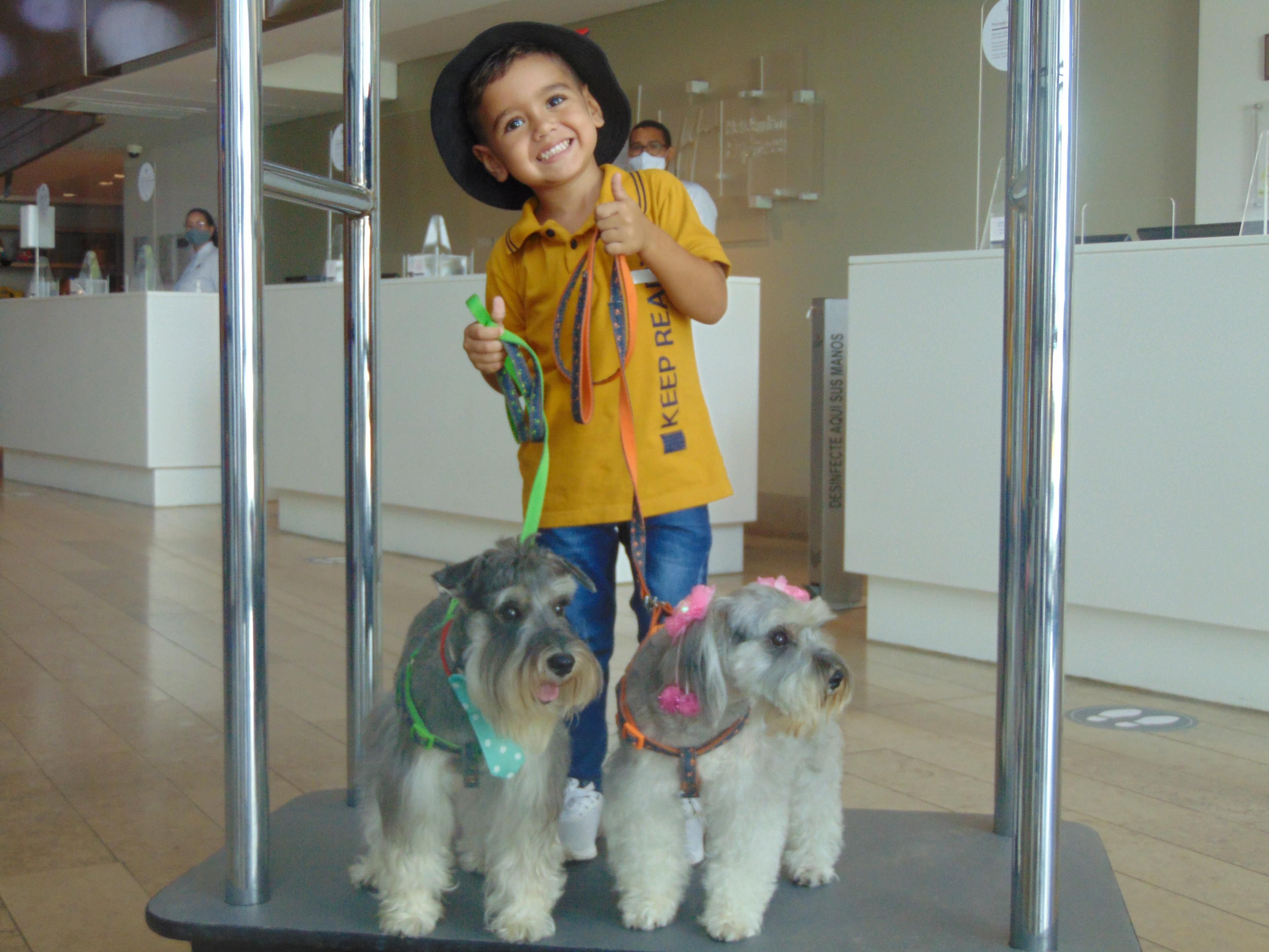 Enjoy Cartagena in company of your best furry friend, at Holiday Inn Express Bocagrande we are PETS FRIENDLY, for more information please contact us.