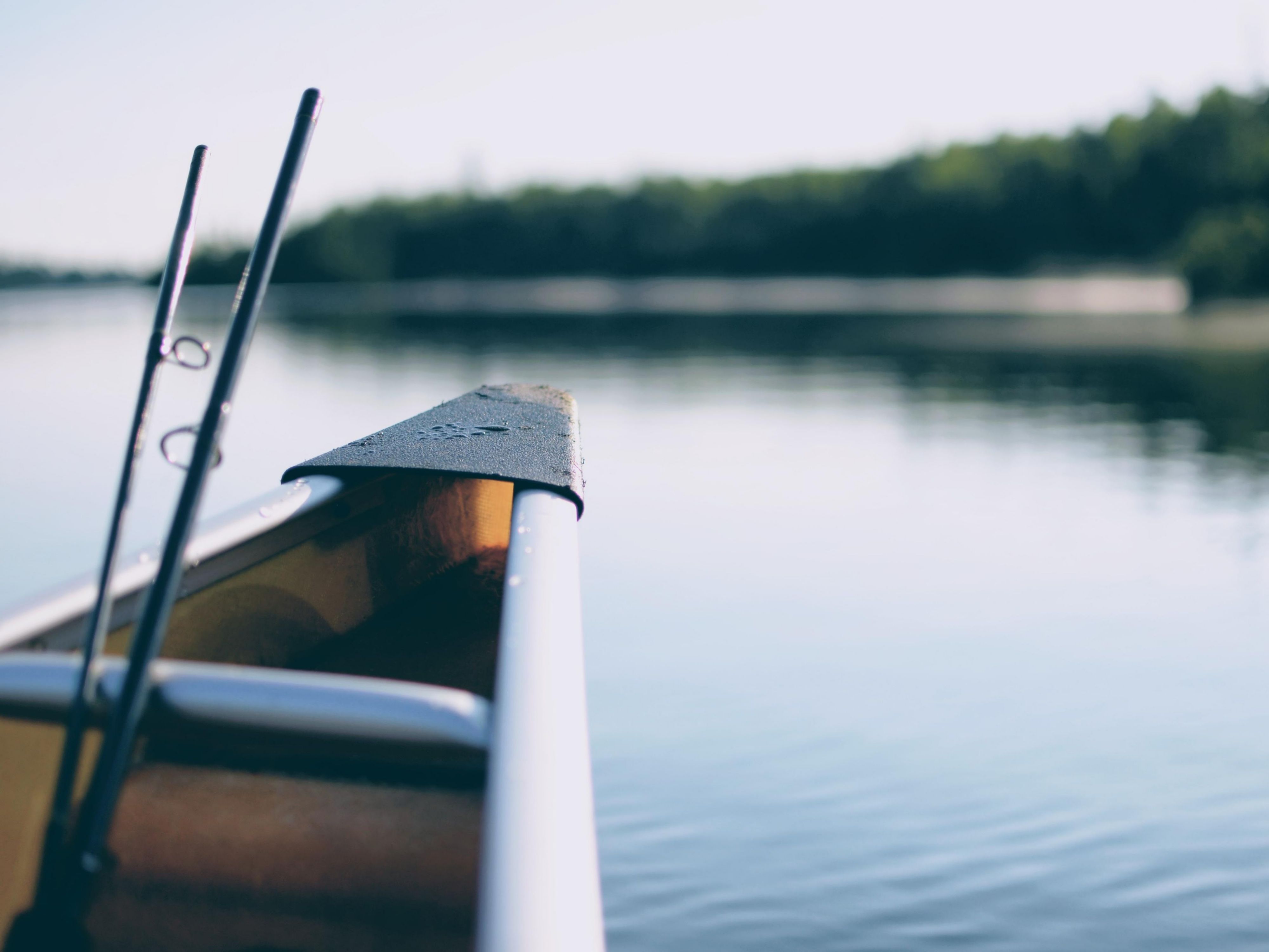 Located on the shores of Devils Lake, only minutes from the hotel, this state park is a hot spot for world-class fishing.
