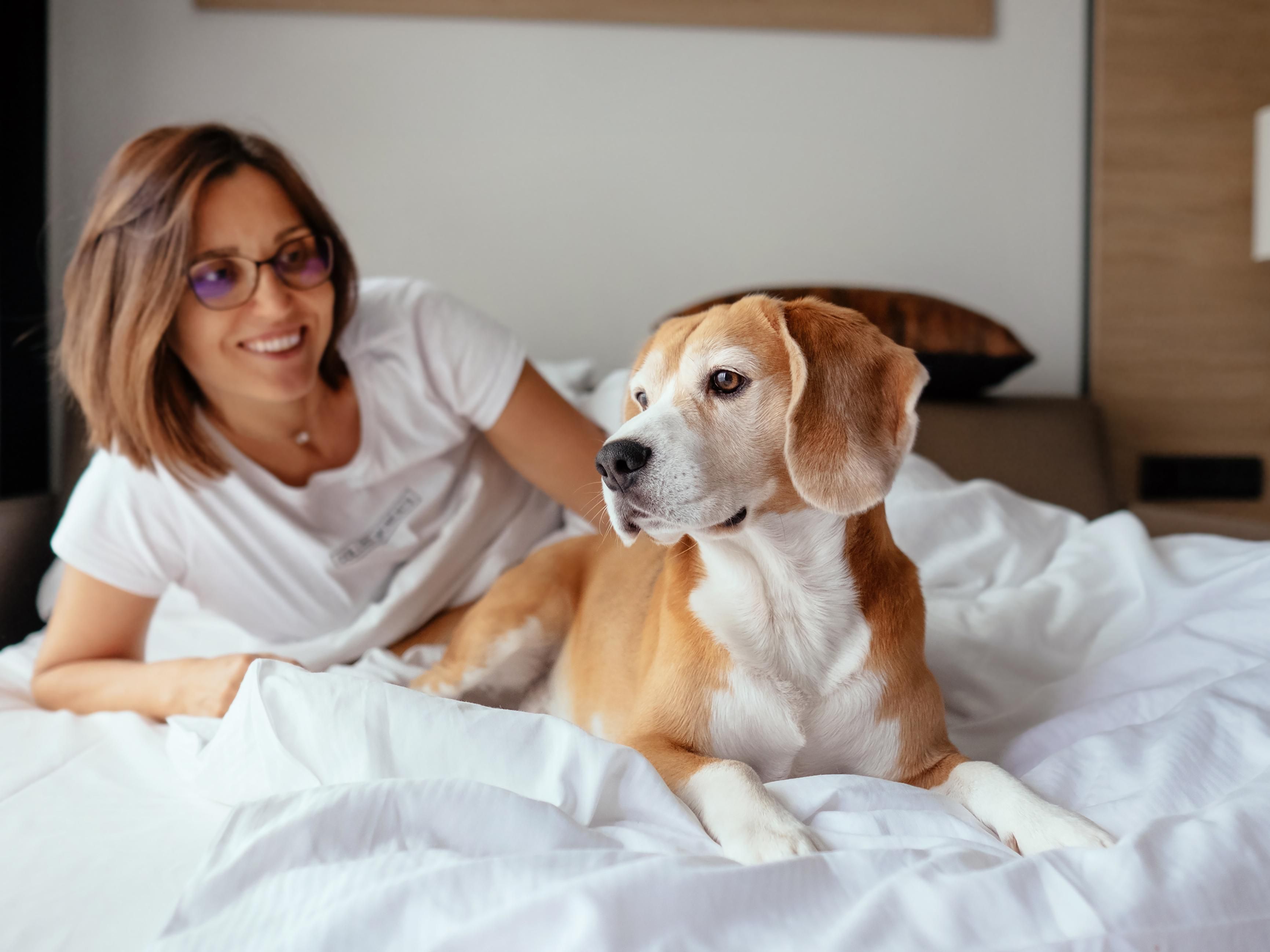 Pets are welcome at our hotel, by prior arrangement. An additional charge of EUR 30 per pet per stay applies. Contact the hotel to check availability.