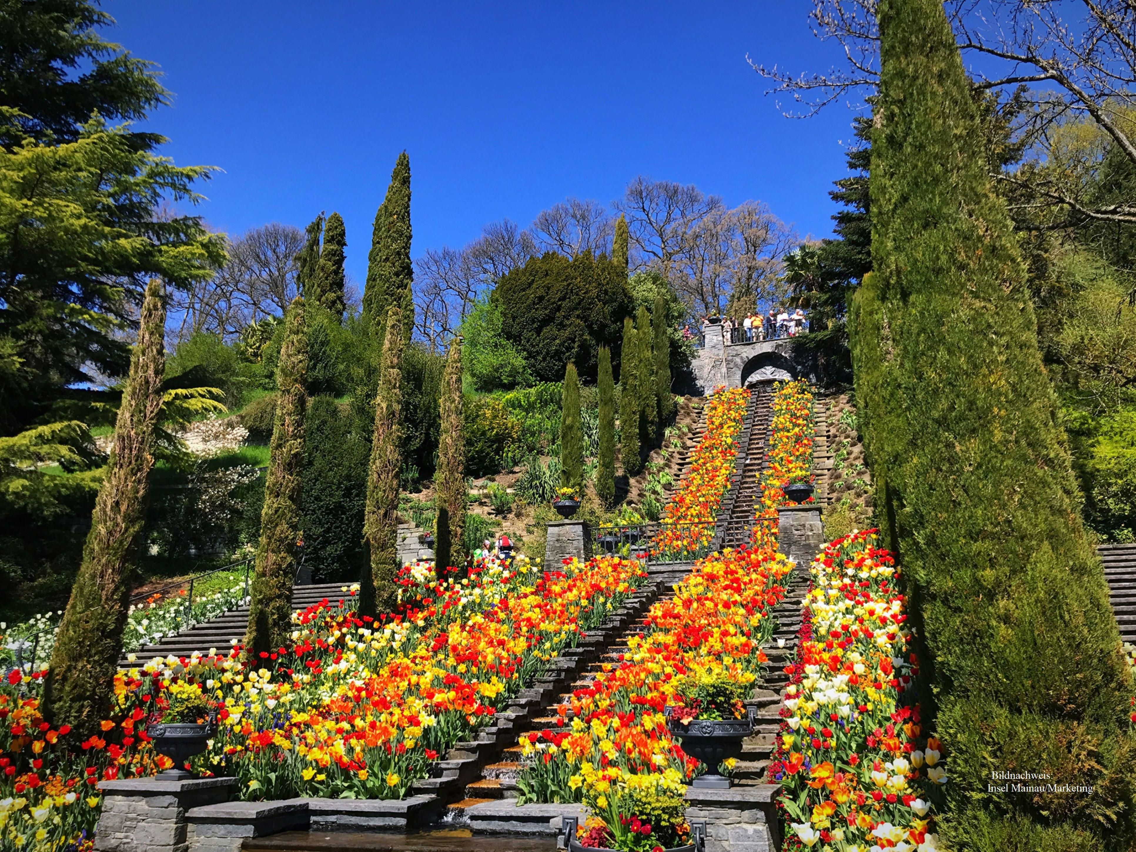 Enjoy the Insel Mainau and discover the beautiful gardens, relax on the shores of Lake Constance in the shade of the trees and just enjoy the day. Take a tour in the castle and treat yourself to a cool drink and a small snack in one of the restaurants.