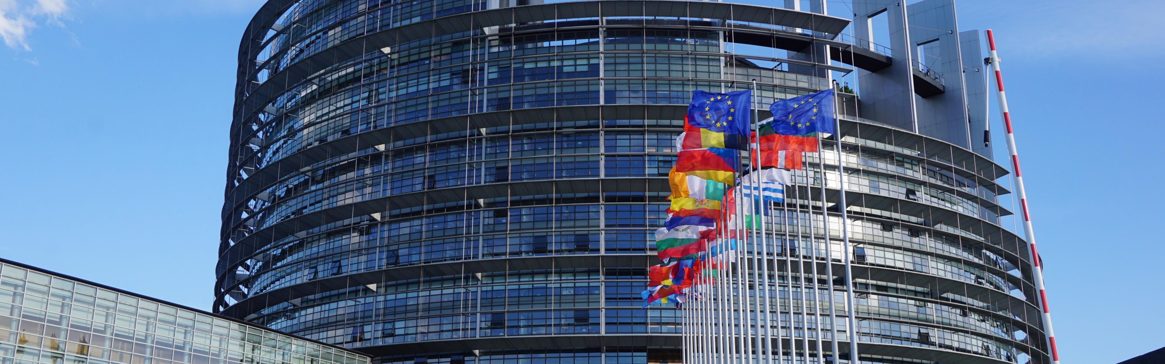 European Parliament of Strasbourg