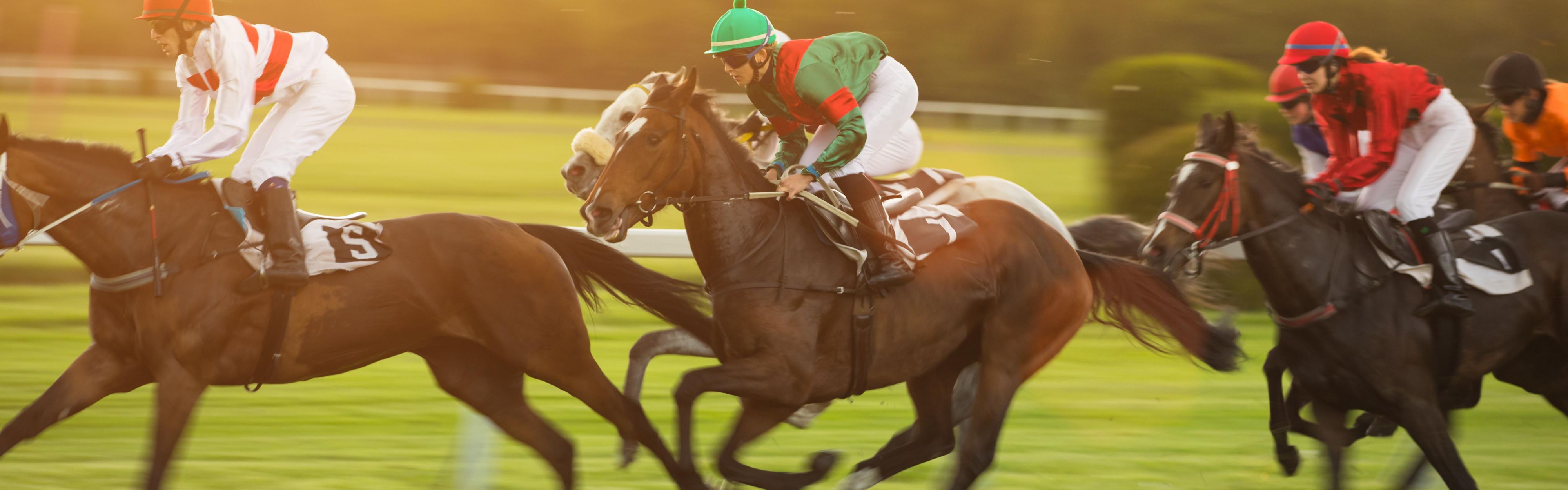 Enjoy a day out at Hamilton Park Racecourse.