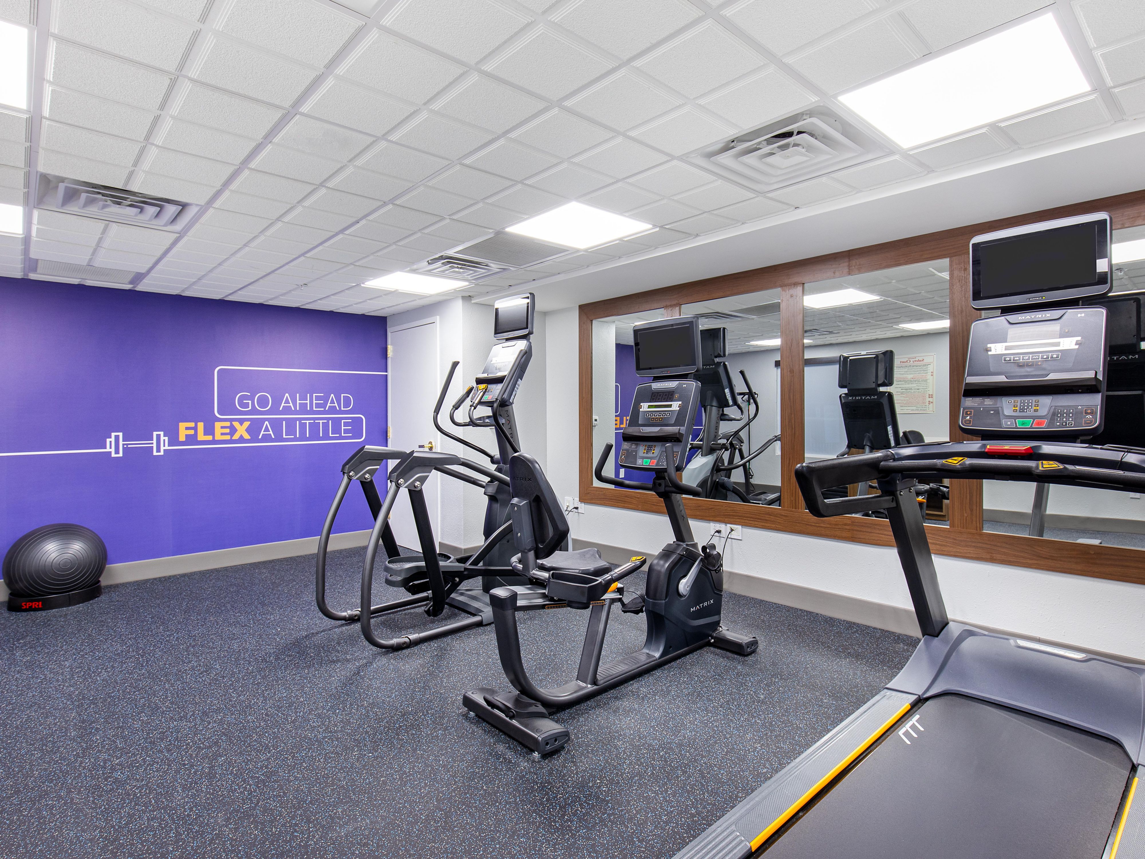 Get fit with our selection of exercise equipment! 