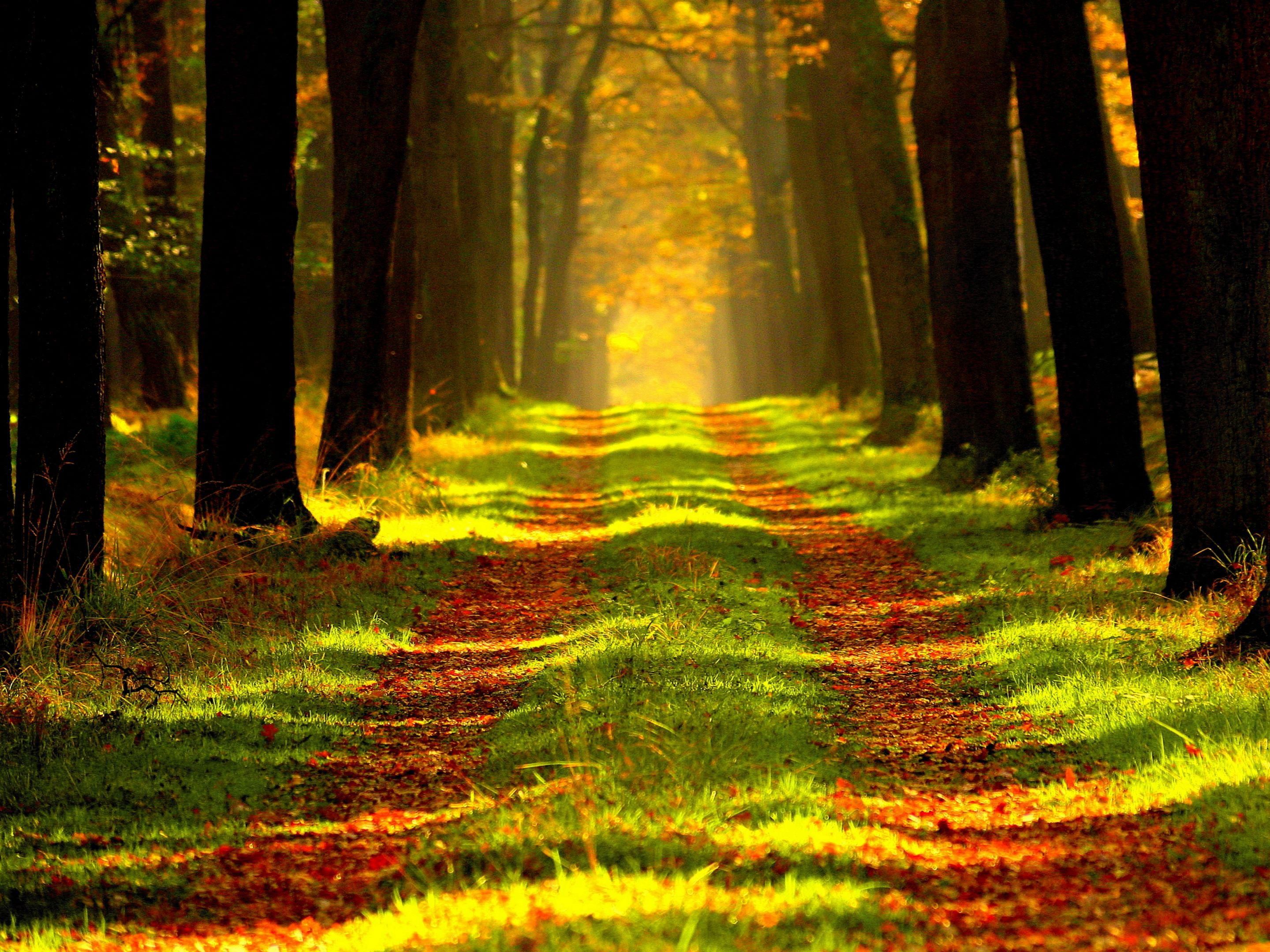 After a full day of working, we would like to invite you to spend your free time and explore the area around the hotel. There are many outdoor activities you can practice such as: running and cycling paths or walk in Nature Reserve "Bór". 