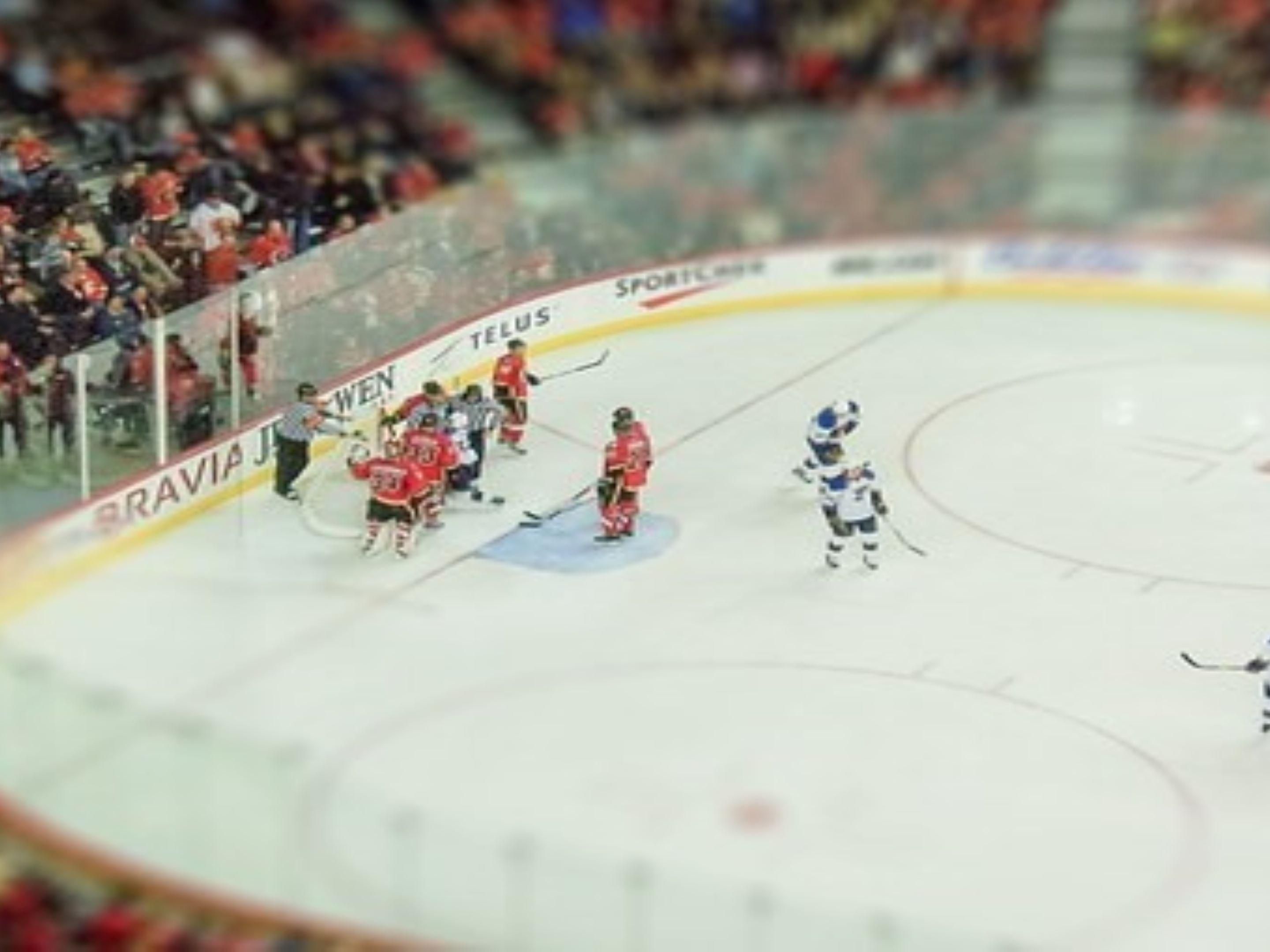 Kennesaw's newest recreation center located 5 minutes from hotel. Enjoy skating rink and ice hockey game.