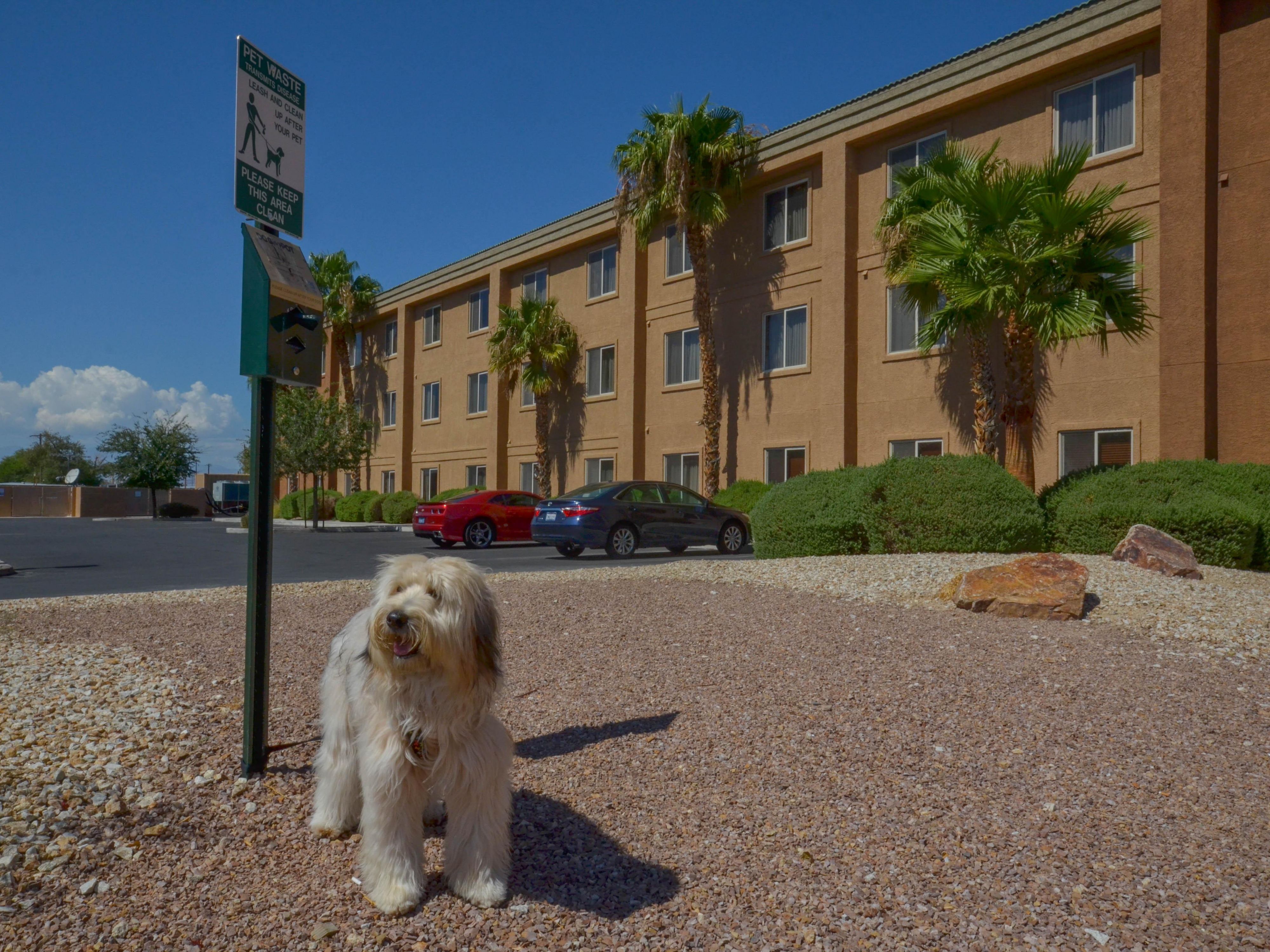 We love having the family pet with us to make your stay extra comfortable.  The Holiday Inn Express Las Vegas Nellis has rooms that are pet friendly, and we have plenty of space for you to walk your pets.  Please call or email us for our pet fees and weight limits.