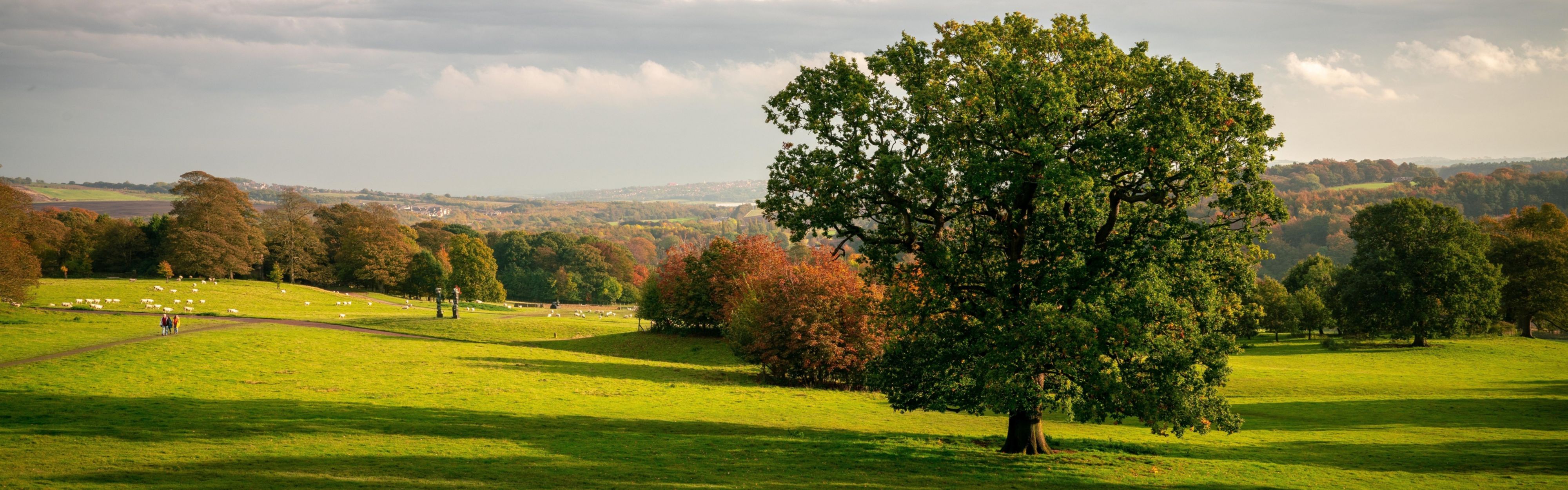 Yorkshire Sculpture Park