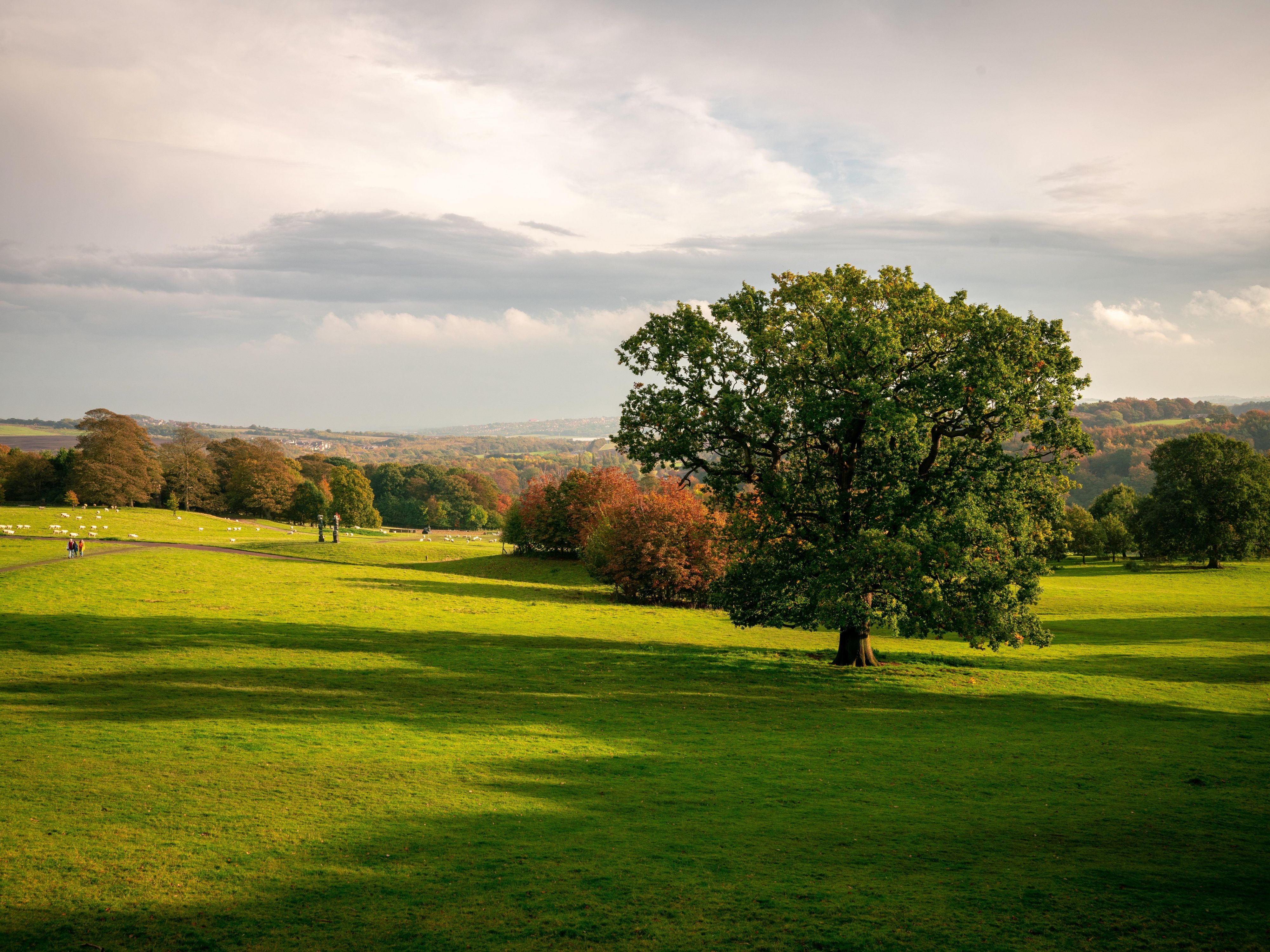 Our location on the outskirts of Leeds City Centre provides plenty to see and do right from the hotel's doorstep. With its proximity to the historic cities of Leeds, as well as sitting just off the A639, allows you to explore more of North Yorkshire from charming market towns to magical moorlands, and the stunning Yorkshire Coast. 