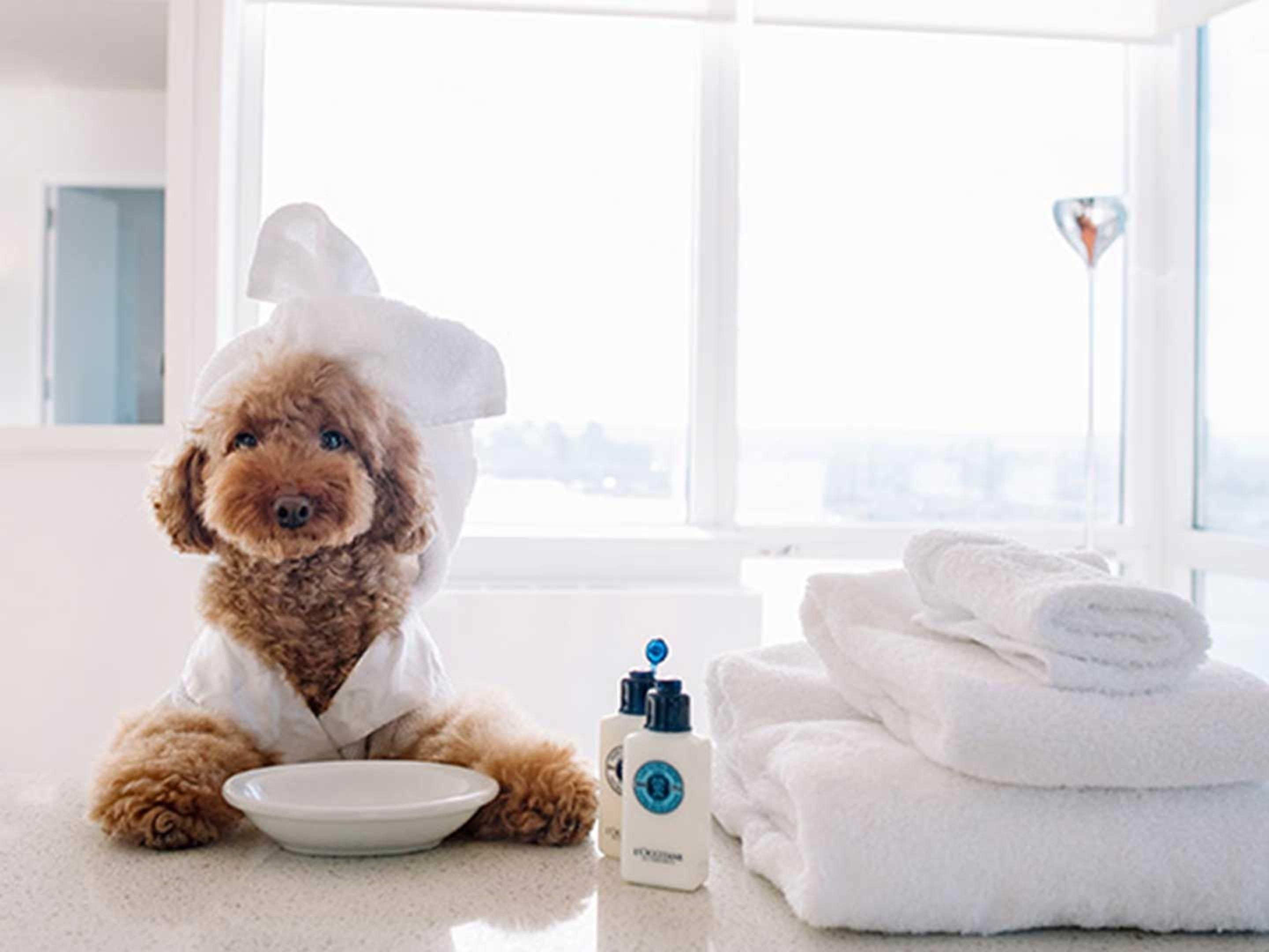 It's hard to leave your best buddy at home when you're traveling for extended periods. At the Holiday Inn Express Leland - Wilmington Area, we provide a friendly experience to humans and pets alike! Restrictions apply, please contact hotel for further details. 