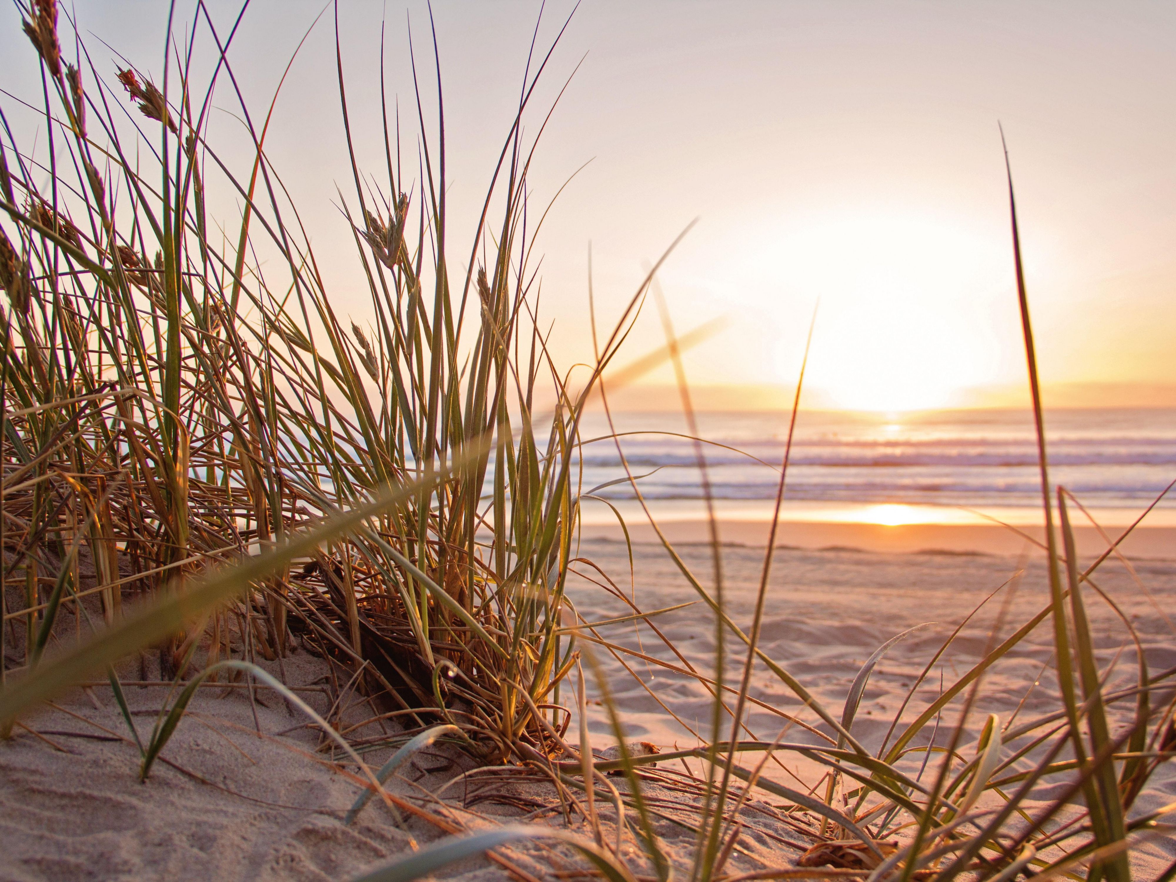 Forgo housekeeping during your visit of 2 or more nights to earn 500 IHG Reward Points.  Contact our hotel Front Desk for more information.  