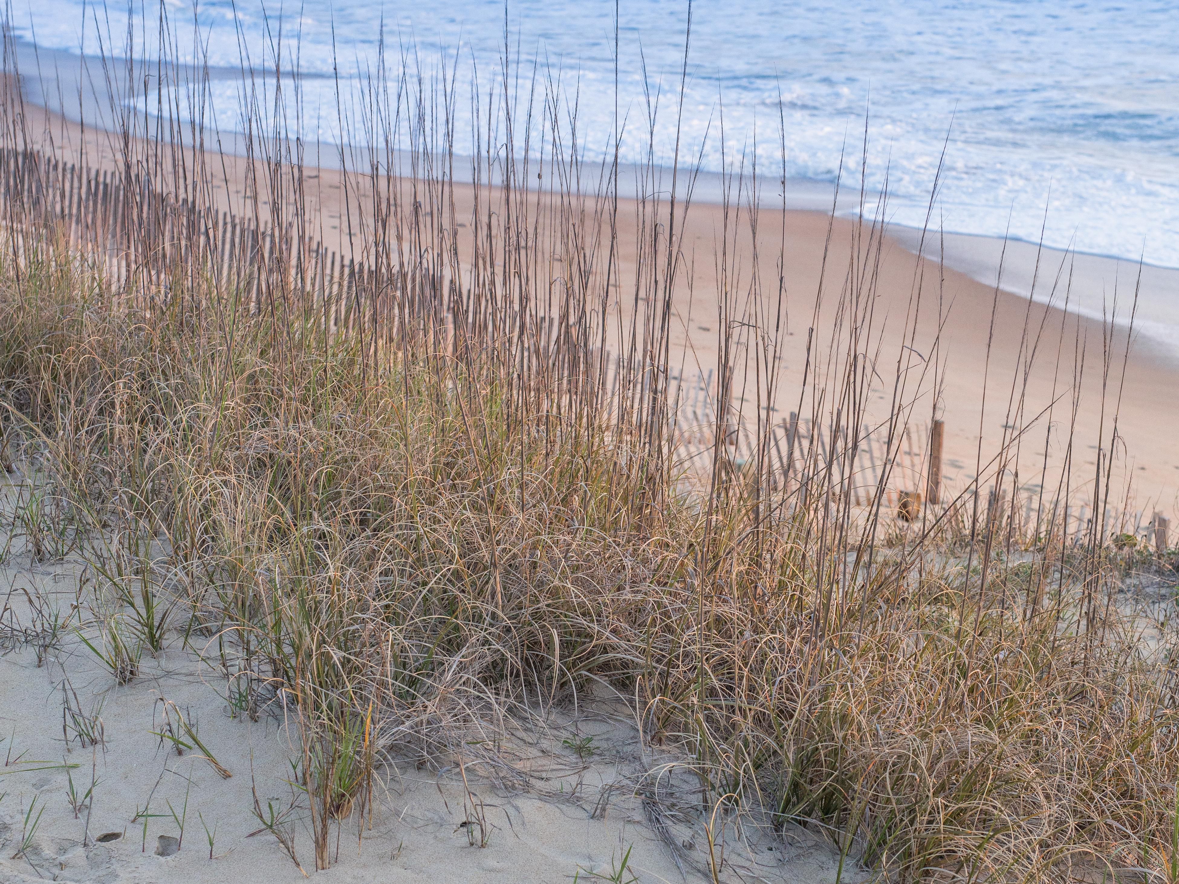 The tallest living sand dune on the Atlantic coast and one of the best places to view the sunset over the sound is less than three miles from our front door. Check it out at Jockey's Ridge State Park! 