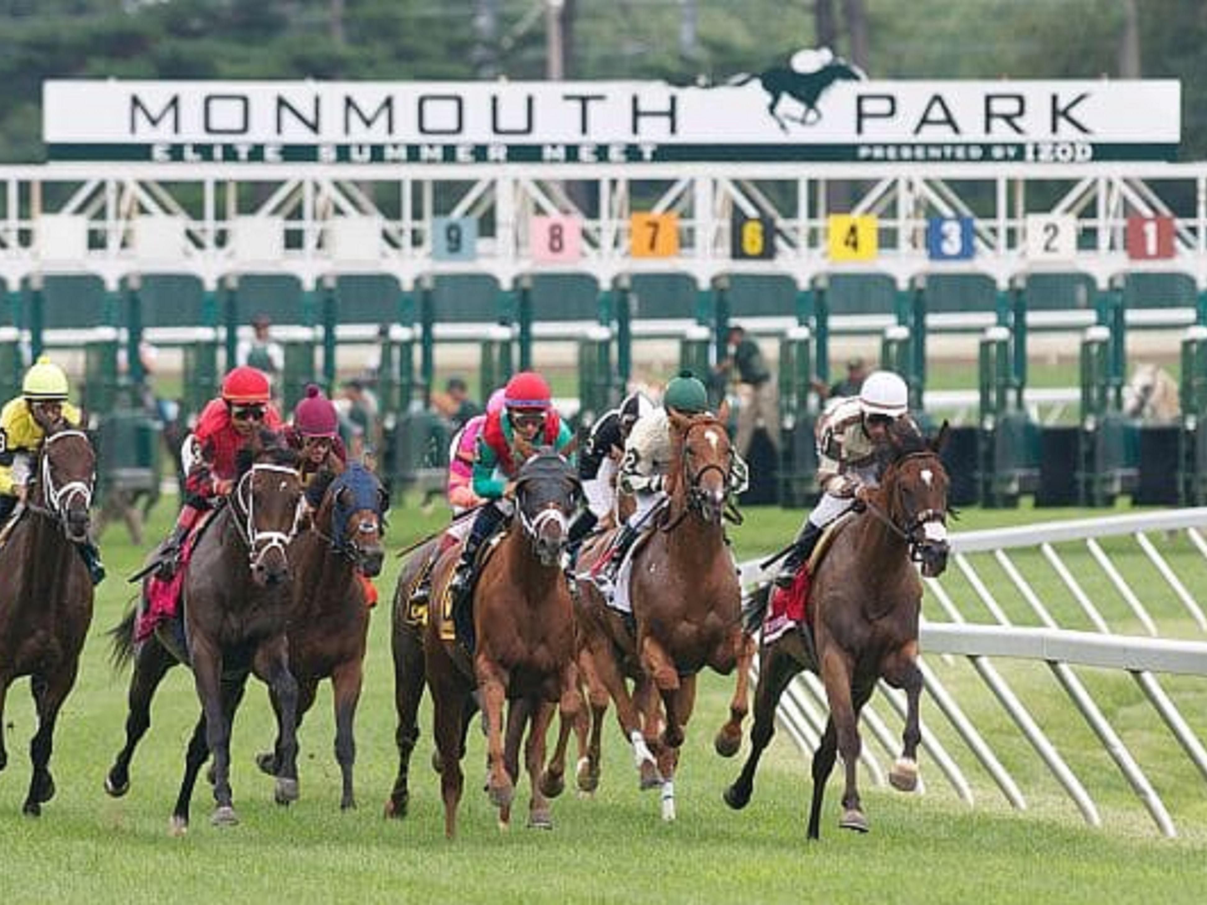 Monmouth Park Racetrack is a picturesque destination for thoroughbred horse racing in Oceanport, New Jersey. They host regular meets and festivals between May and September and feature restaurants as well as a beer garden. Bring your family and friends to enjoy this Jersey Shore tradition that has thrilled visitors since 1870.