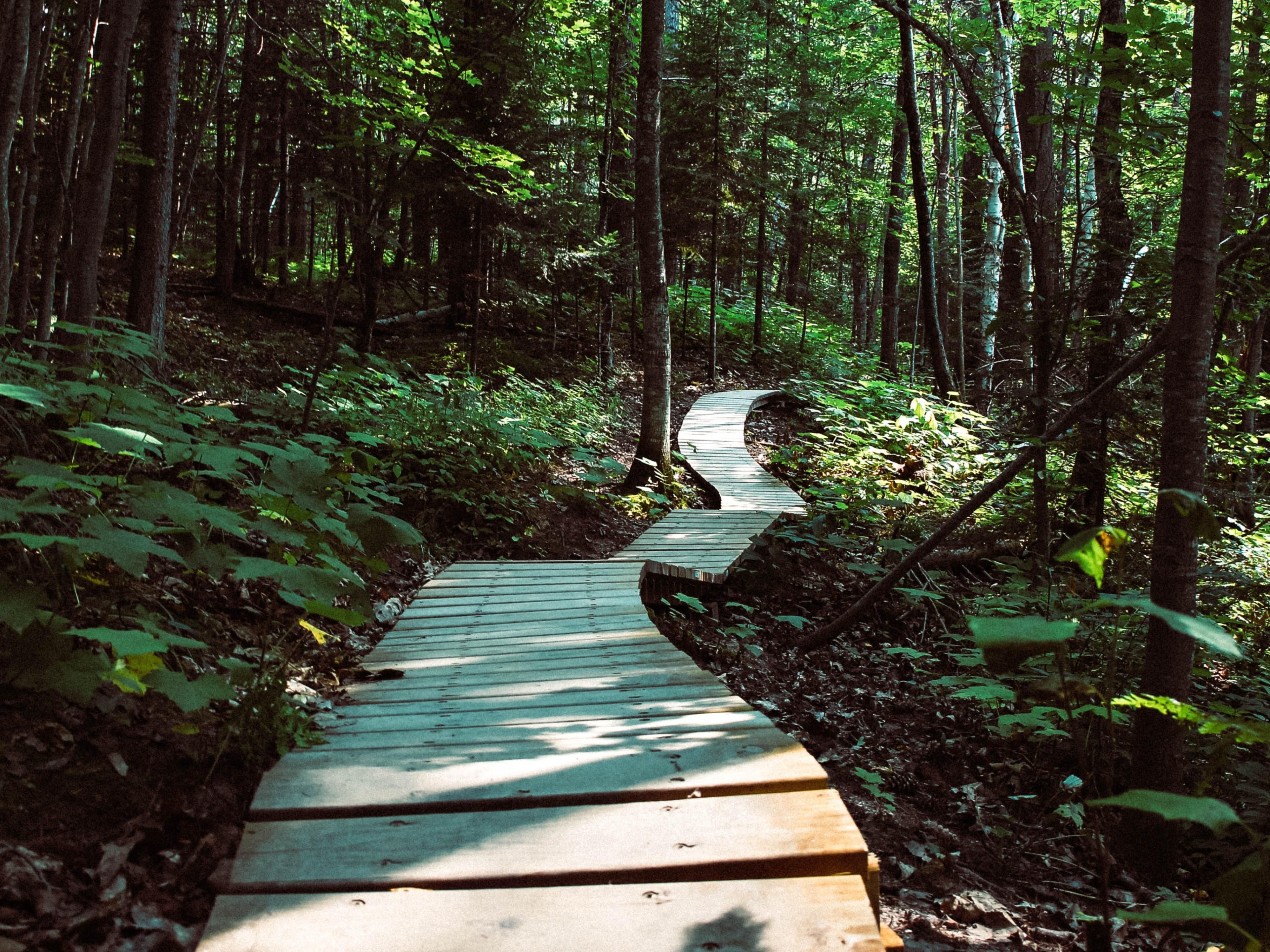 Summer is here! Take a walk down the Rivergreenway Trail stopping at popular historic sites along the way. 