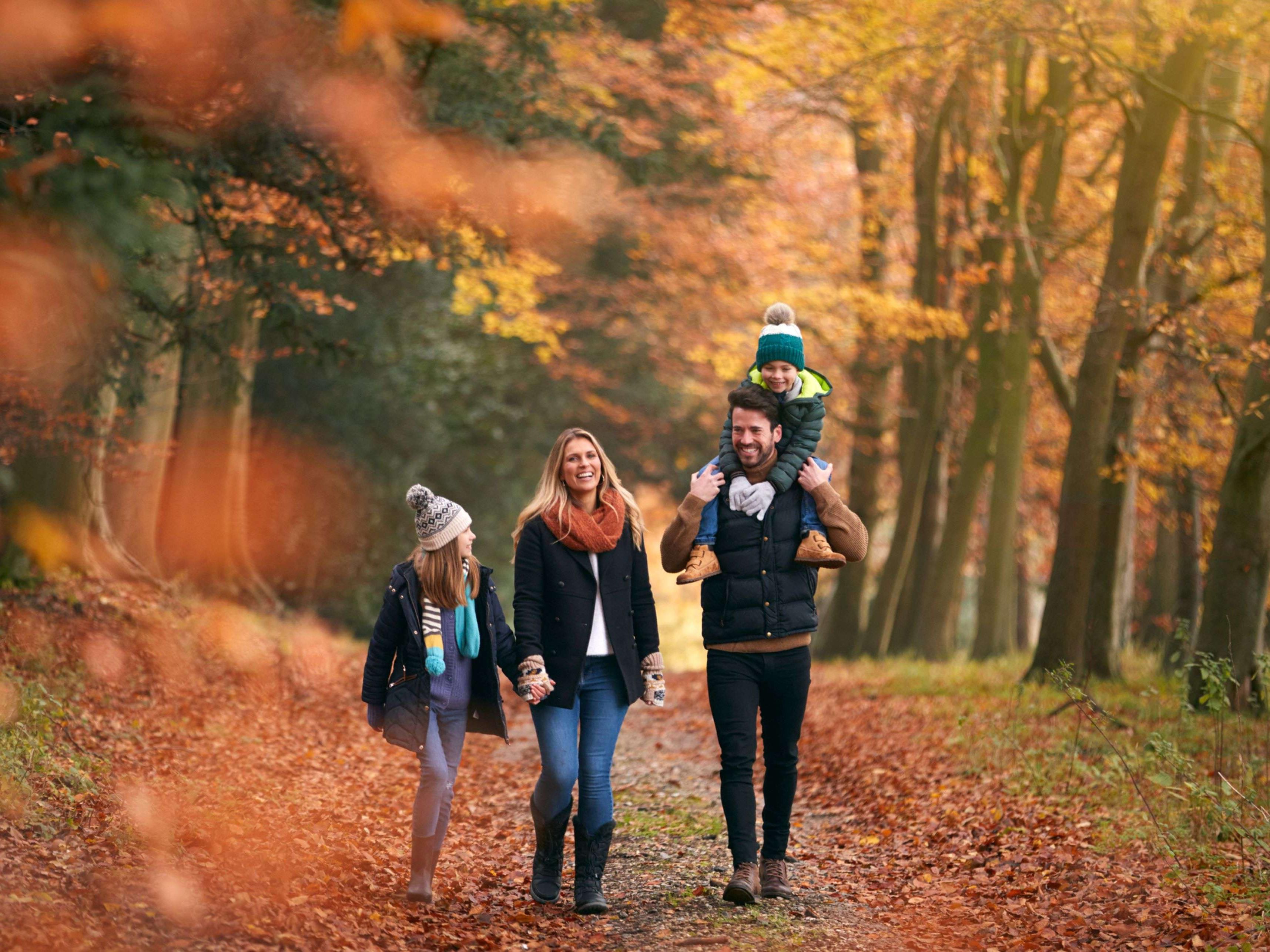 Come cheer on York United FC as they work to make the playoffs this fall at York Lions Stadium, jump-start your holiday shopping at Vaughan Mills, and check out the Halloween Haunt at Canada's Wonderland!