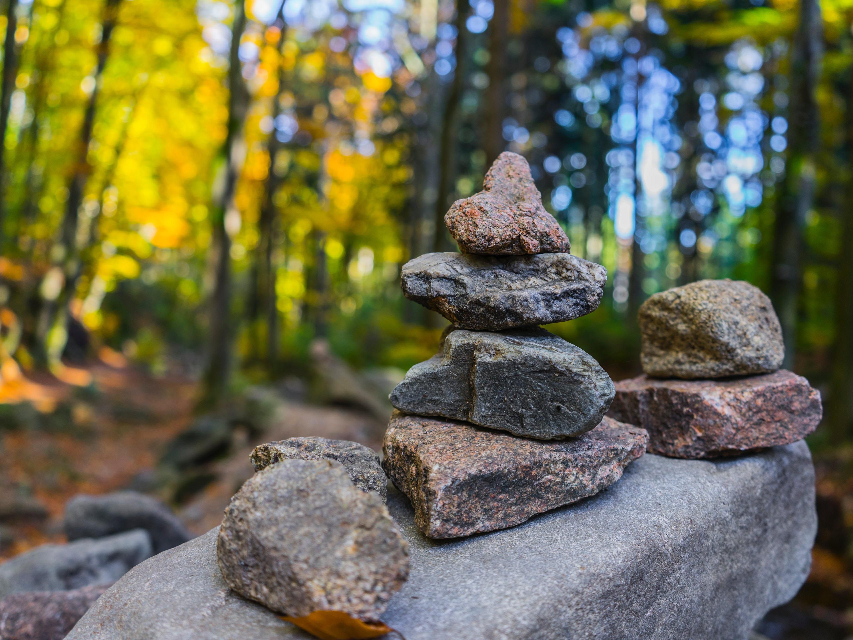 Just a short drive from our hotel is Rock City Park, the majestic geological spectacle of enormous rock formations and is often referred to as the Eighth Wonder of the World. This prehistoric ocean floor is the World’s largest exposure of quartz conglomerate (also called ocean spar or puddingstone) and attracts thousands of visitors yearly.