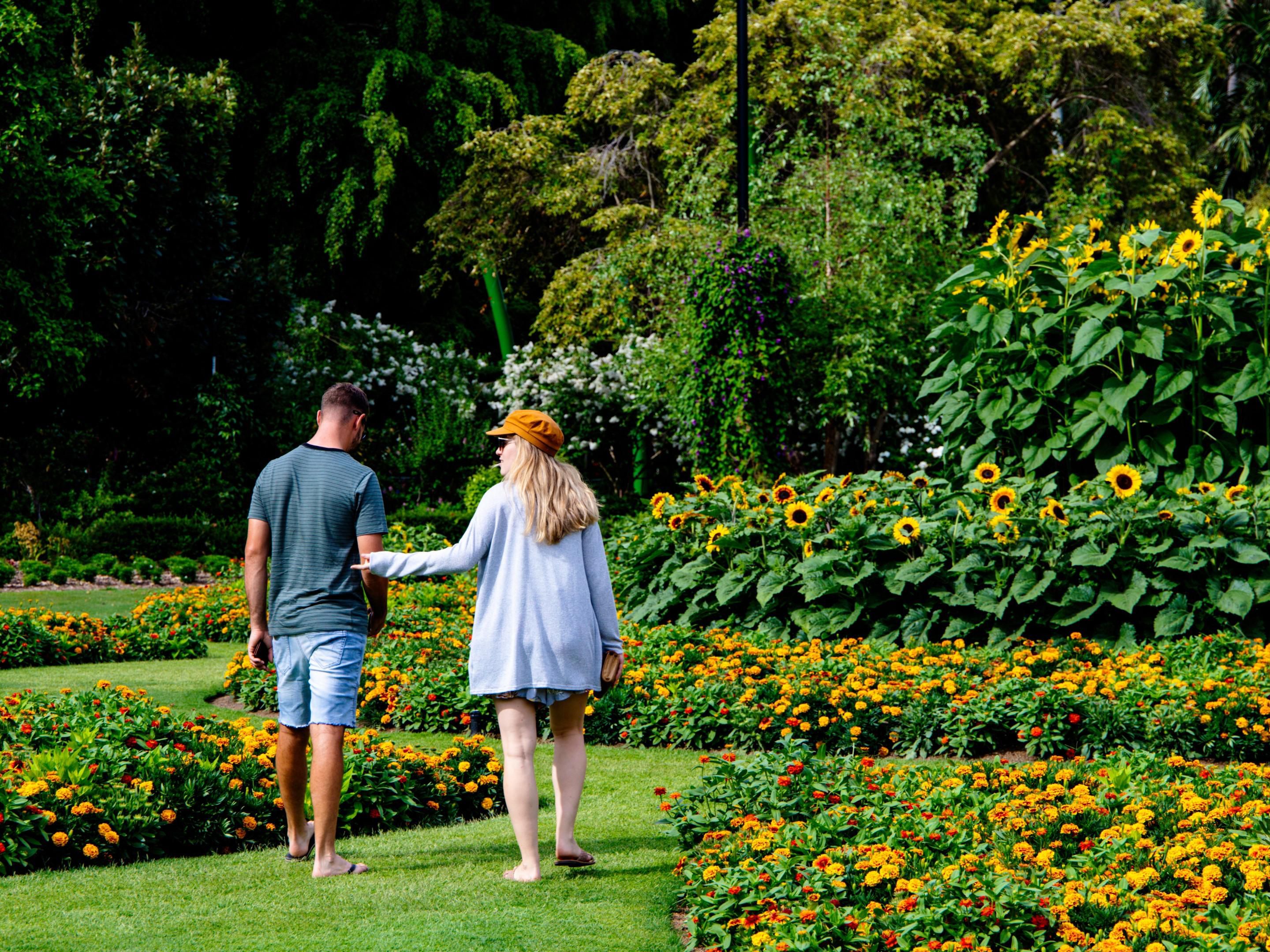 Explore the breathtaking Johannesburg Botanical Gardens, featuring themed gardens like the Rose Garden with over 10,000 roses and the Herb Garden showcasing medicinal plants. Discover a stunning collection of succulents and indigenous South African flora. Perfect for nature enthusiasts and those seeking a serene escape.