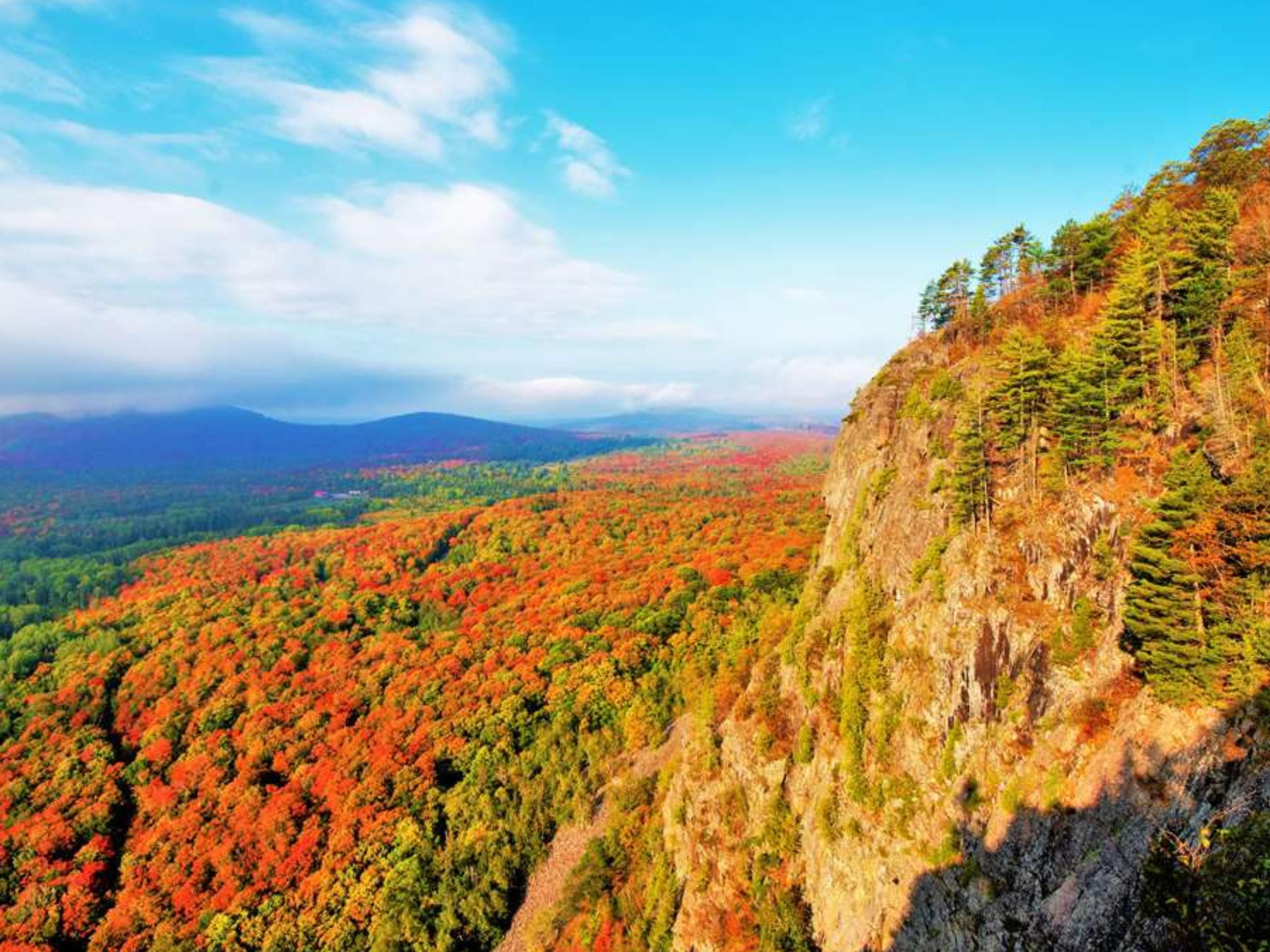 Lace up your boots for a hike to Robertson Cliffs, part of the Algoma Highlands Conservancy. The summit offers one of the most stunning panoramic views in the region—worth every step of the climb.