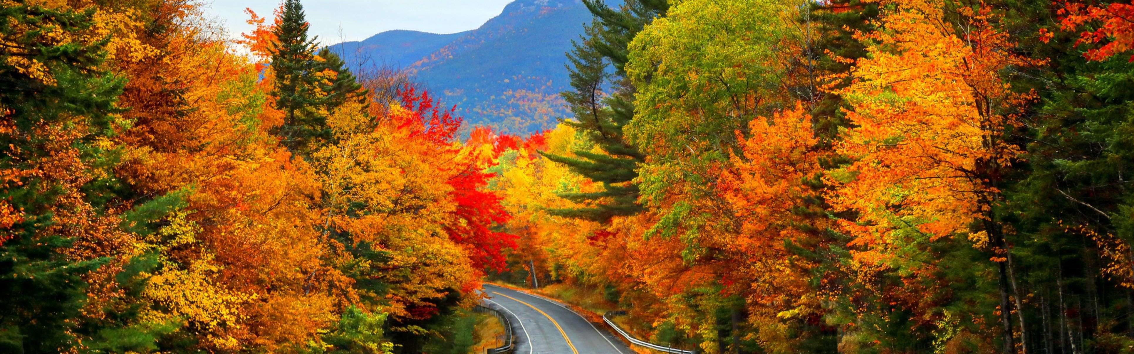 Experience Vermont’s Vibrant Autumn Colors