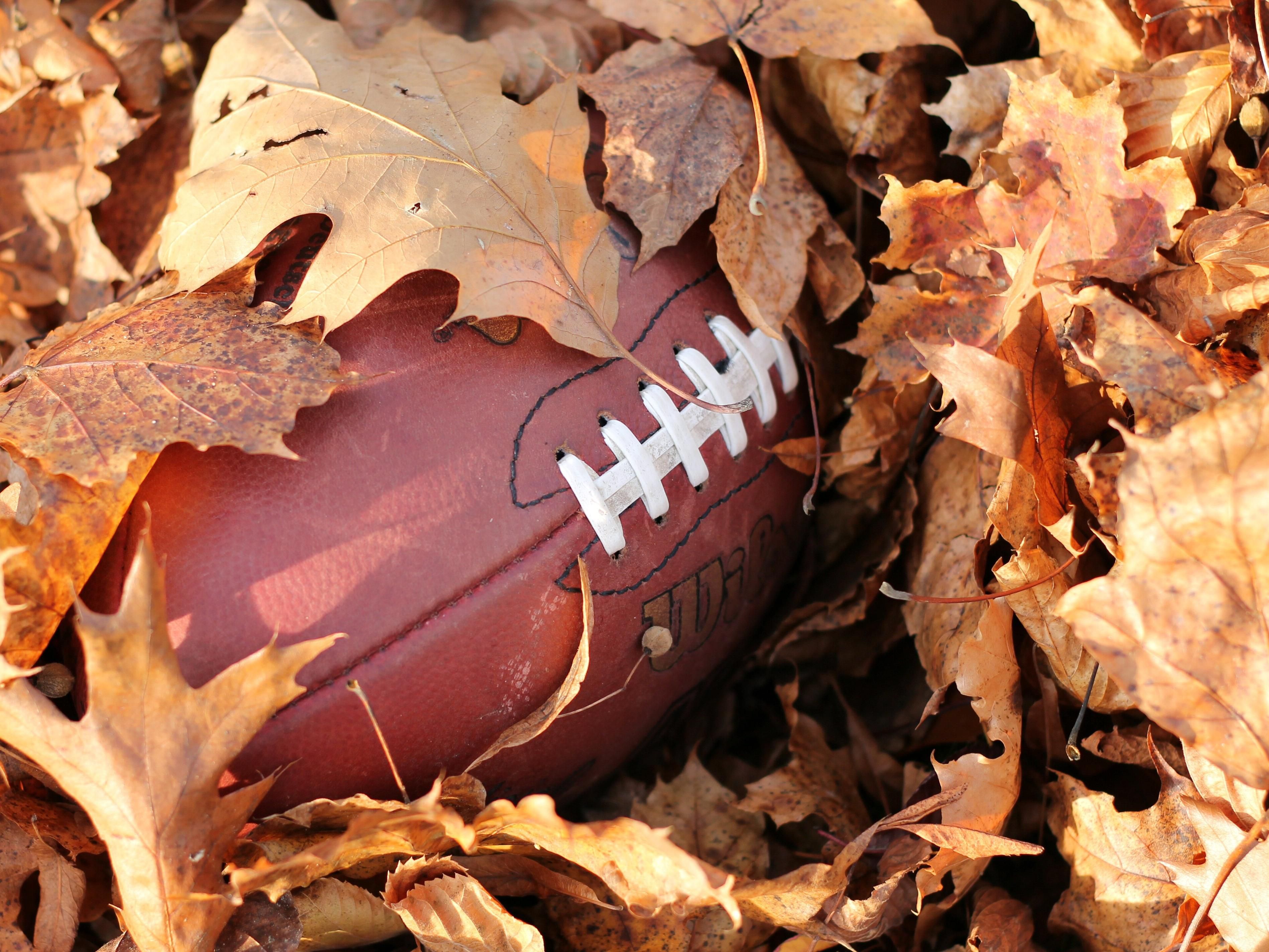 Experience the sports scene at the University of Oregon during your stay in Springfield, Oregon. Enjoy easy access to Autzen Stadium, Matthew Knight Arena, and Hayward Field, all located just a short drive away from our hotel. Immerse yourself in memorable sporting events and create unforgettable memories in the Eugene-Springfield area.