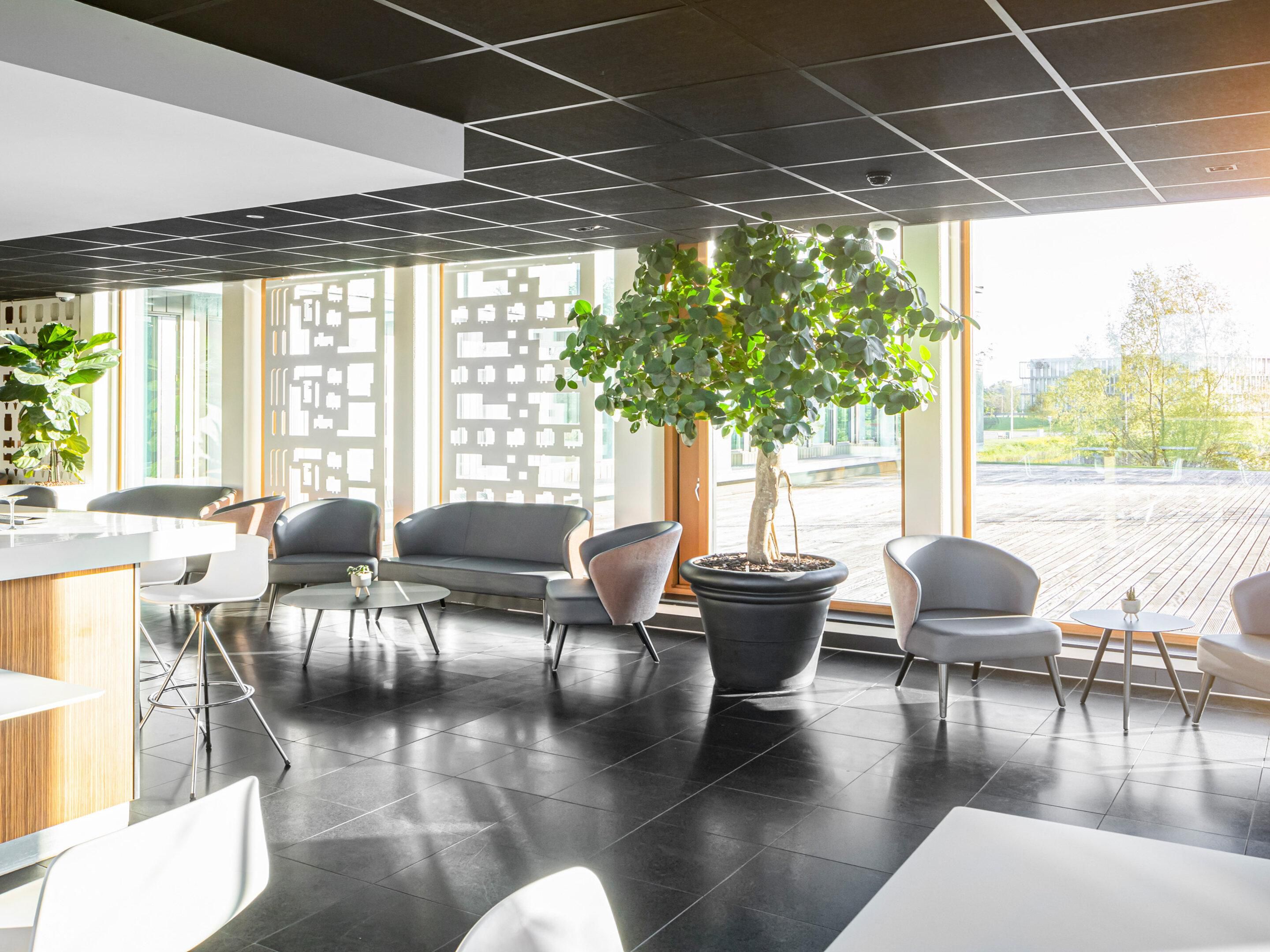 探索创新的开放式大堂概念。在我们温馨的开放式大堂里，您可以随时品尝咖啡或小吃，放松身心，享受工作的乐趣。