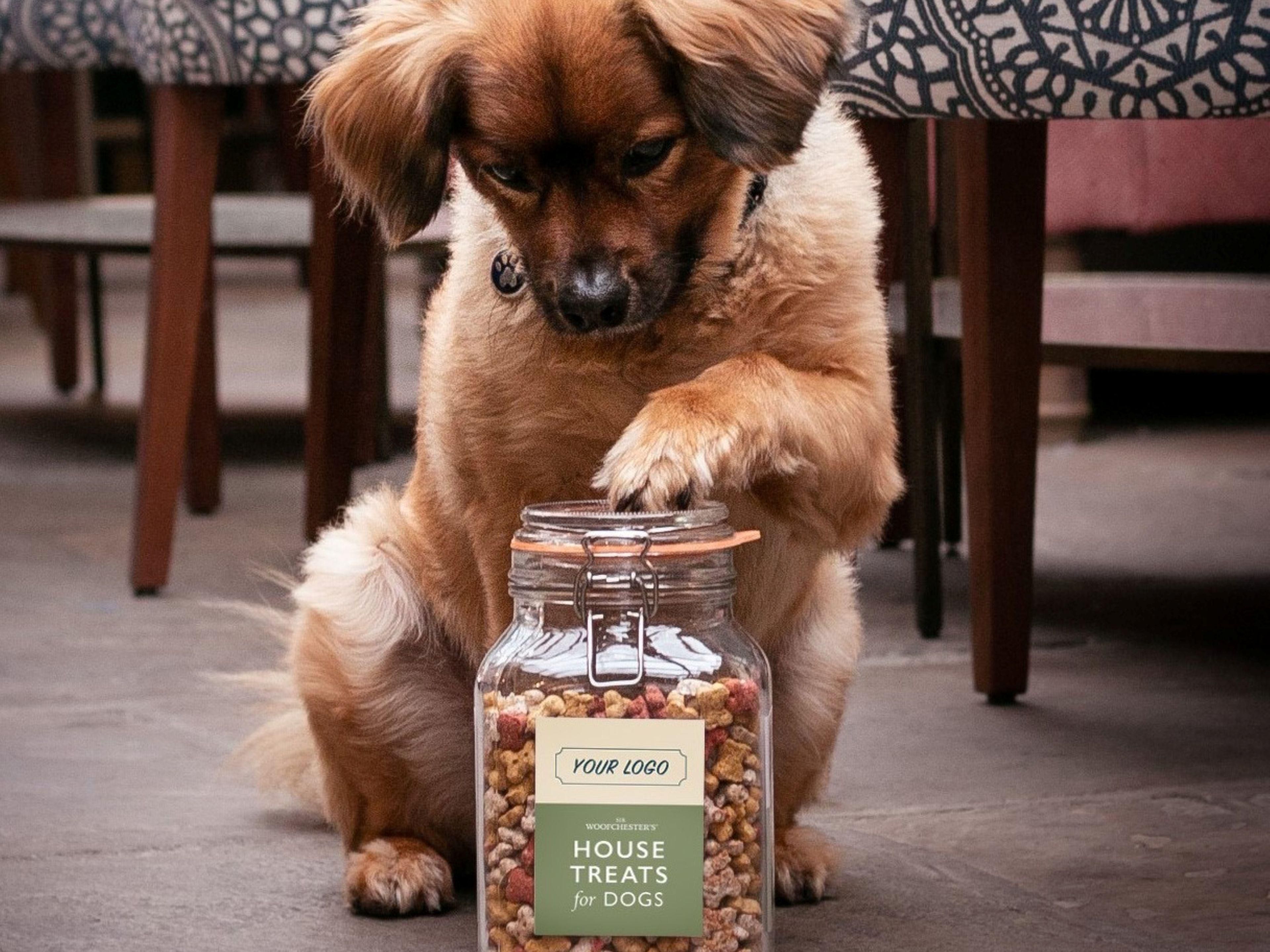 Bring your four-legged friend for a Supaw Stay to our dog-friendly hotel in York . Dogs can enjoy a  stay too. Dog treats, water bowls and dog beds are available. 