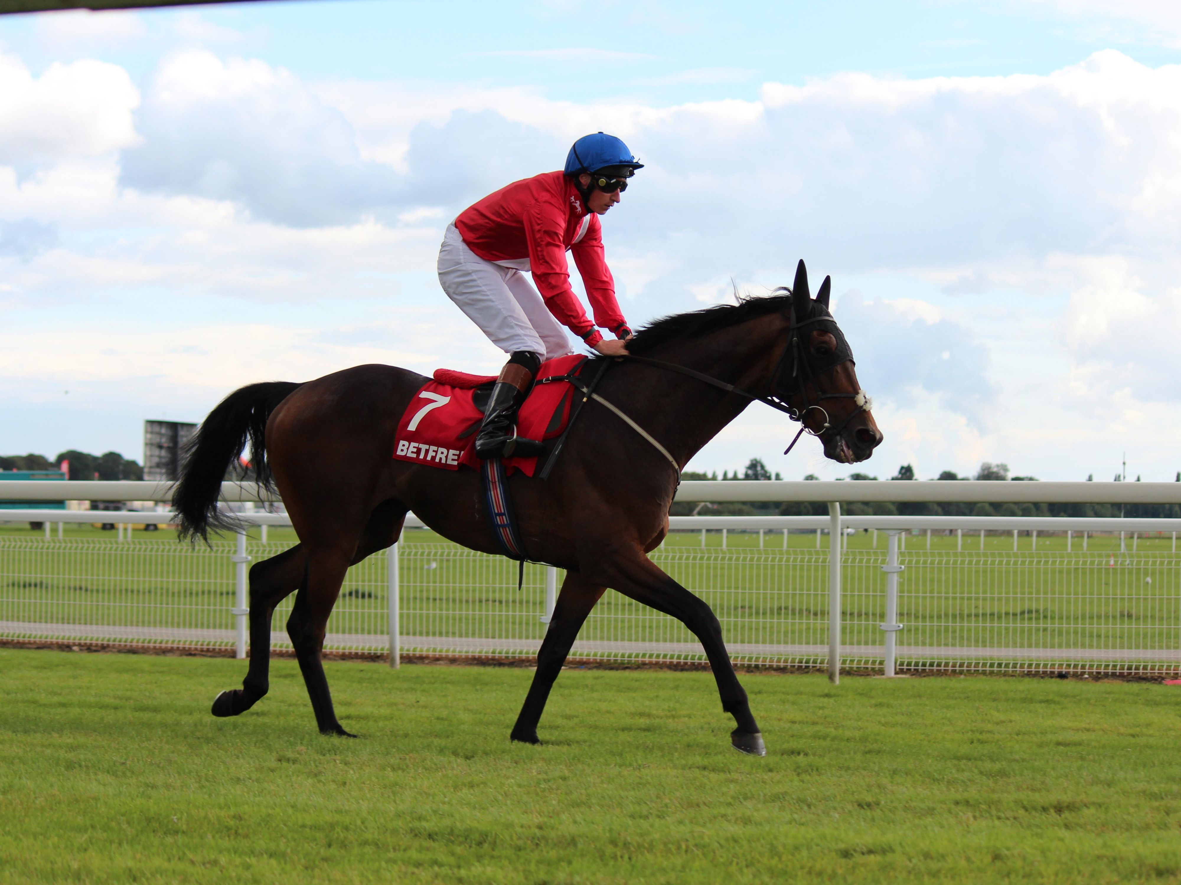 The season runs from May to October and includes the famous Ebor Festival in August. The racecourse is also home to several other events throughout the year, including the Living North Christmas Fair, Comic Con and an Antique Book Fair.