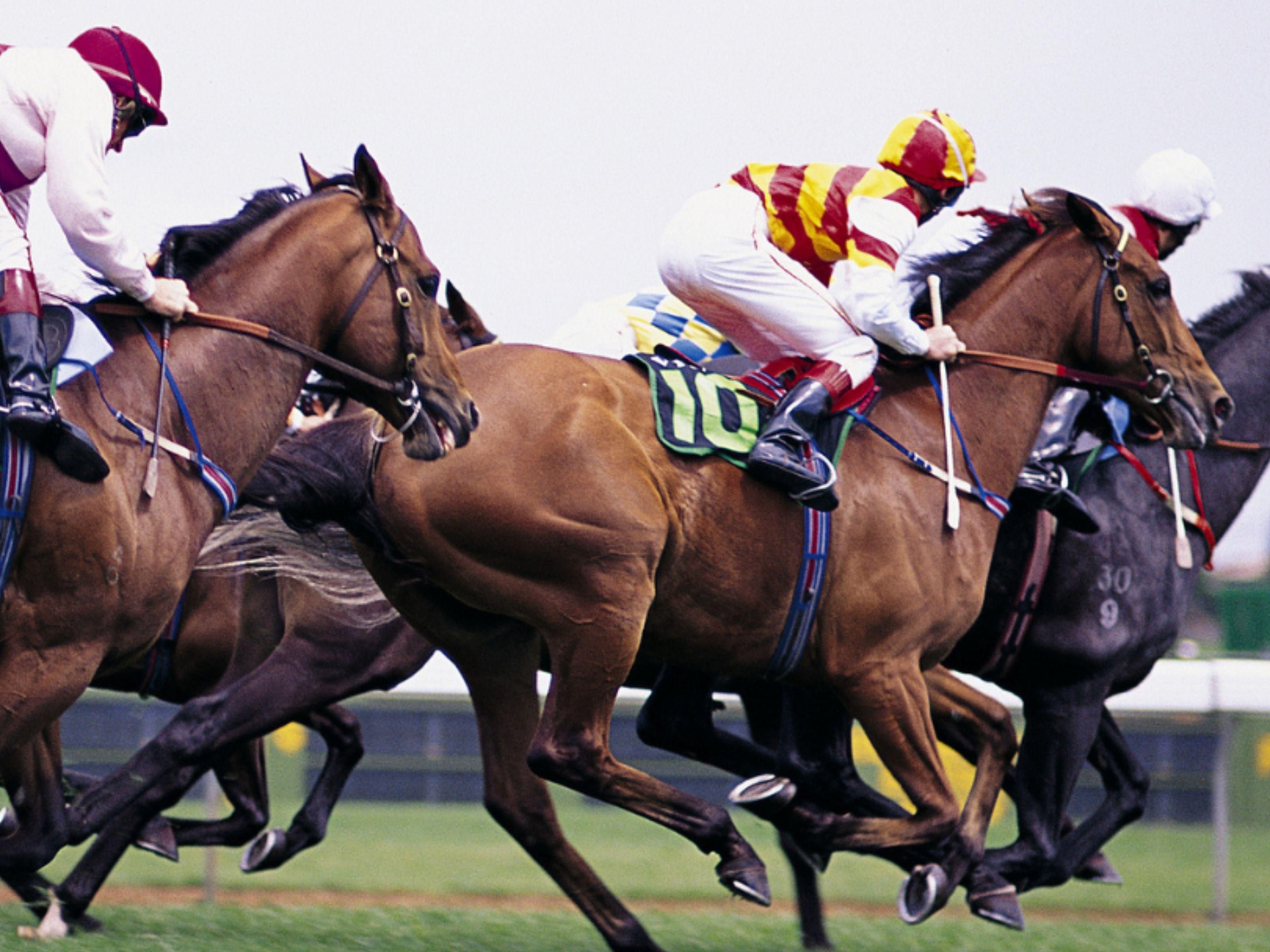 Get off to a flying start! 
Book your stay for the Cheltenham races today with over 10 racing events throughout the year. Home to amazing views over the Cotswold Hill and the most thrilling event in the jump racing calendar. Holiday Inn Gloucester – Cheltenham is only 15 minutes away from the racecourse with over 150 car parking spaces and leisure.