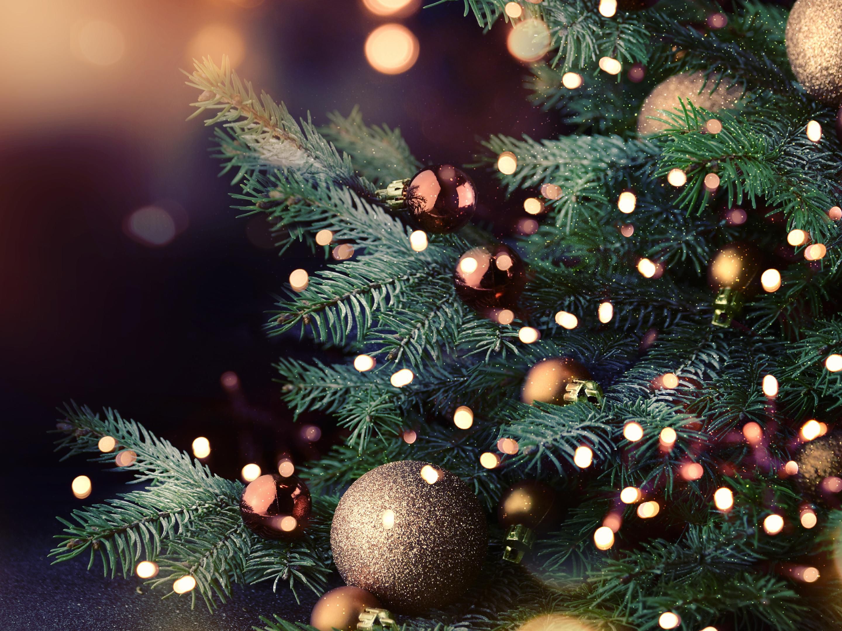 Come and enjoy this Christmas at one of our unforgettable parties in the Sheridan Suite. An evening of festive fun from start to finish. Enjoy a festive drink on arrival, followed by a three-course dinner and a disco until late. It will be a Christmas party you’ll never forget!