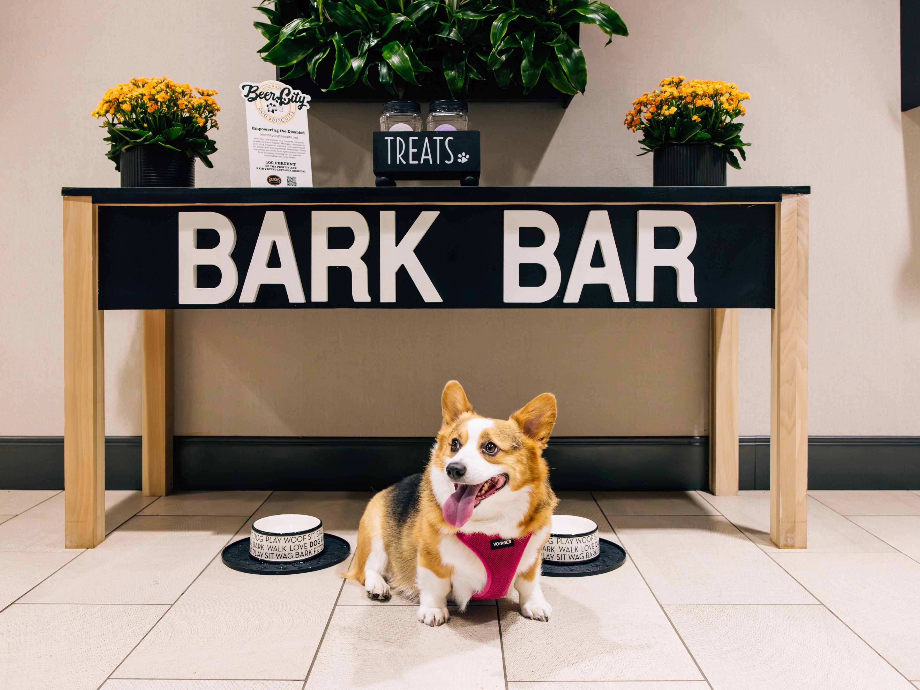 Paws and relax at Holiday Inn Grand Rapids Downtown, where your pets are always welcome. Our pet-friendly rooms and nearby outdoor spaces make it easy to unwind with your four-legged family members by your side. 