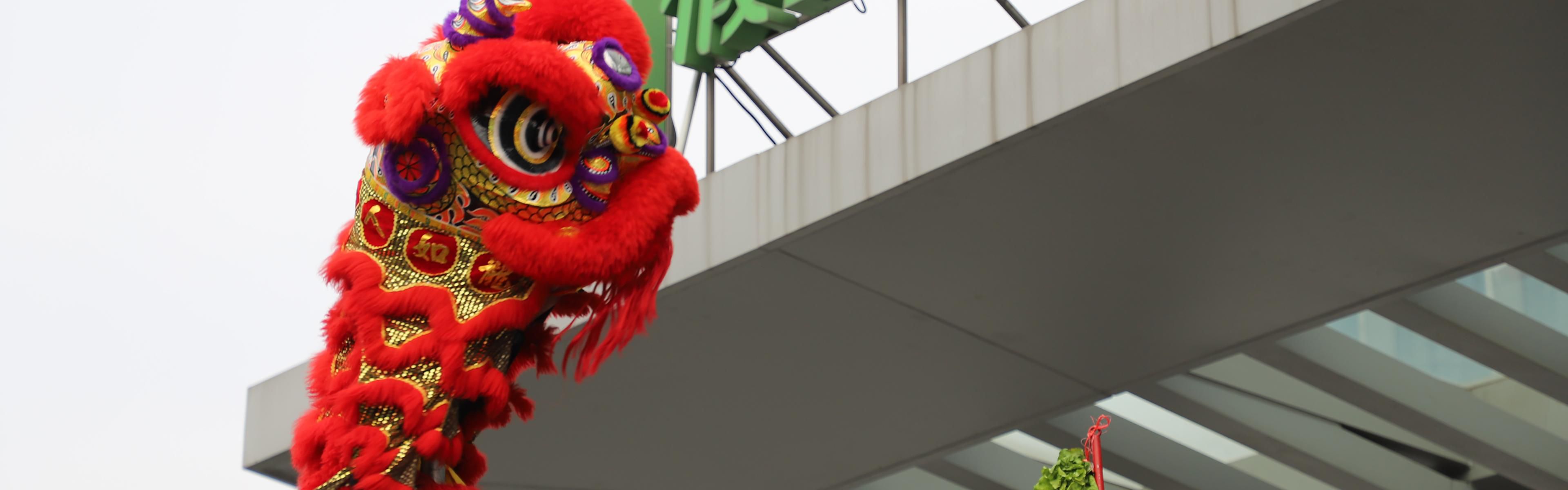 Cantonese Lion Dancing for Chinese New Year blessing  