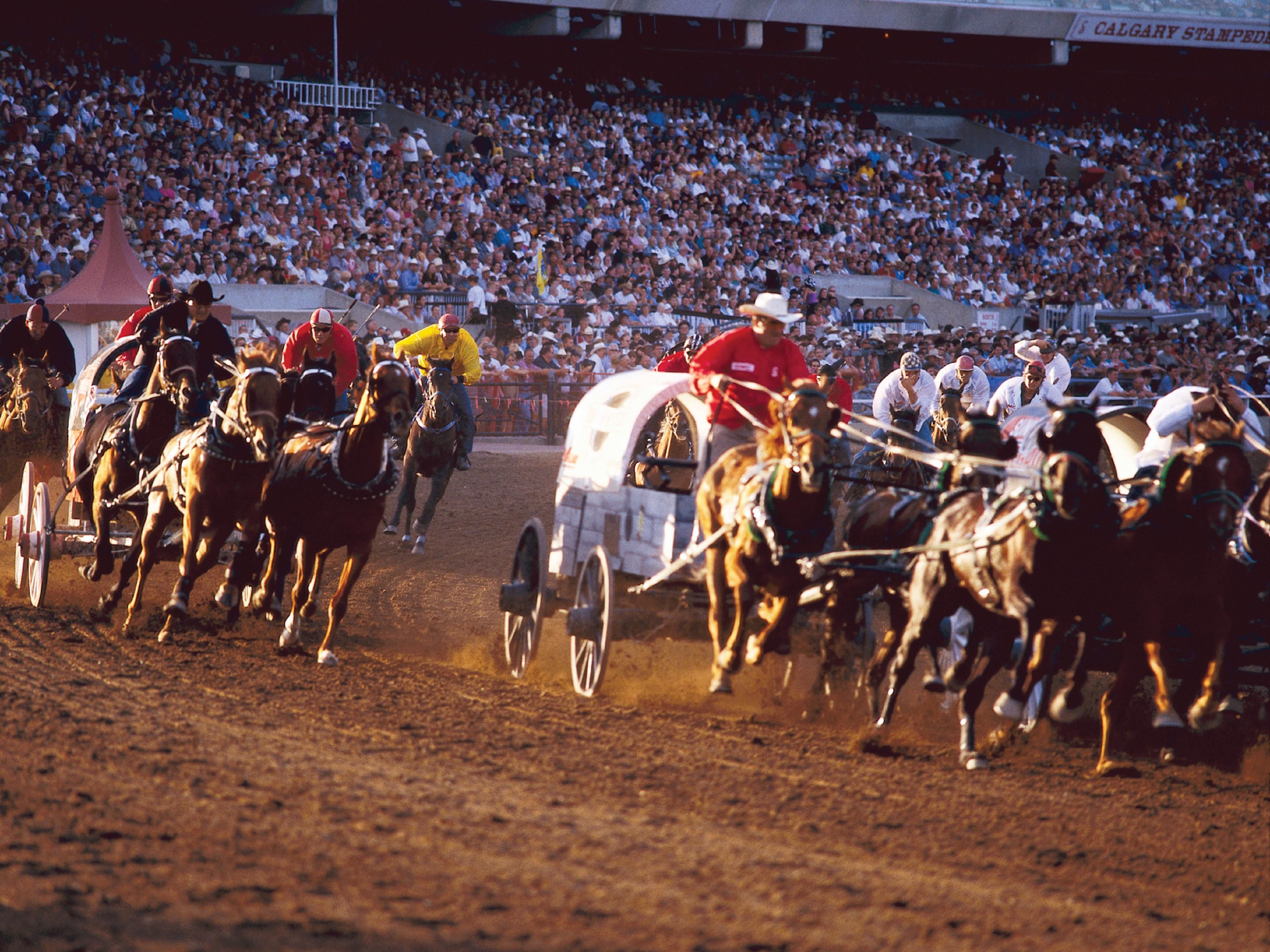 The Calgary Stampede is an annual, 10-day rodeo, exhibition, and festival held every July in Calgary, AB. Dust off your boots and come join in the excitement of the world's largest rodeo, parade, stage shows, concerts, agricultural competitions, chuckwagon racing and First Nation exhibitions.