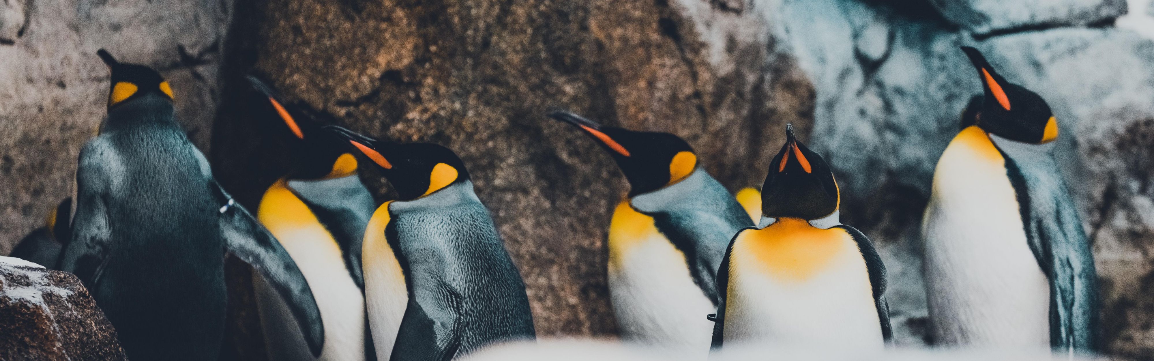 Wilder Institute/Calgary Zoo, which is just 14 minutes away.