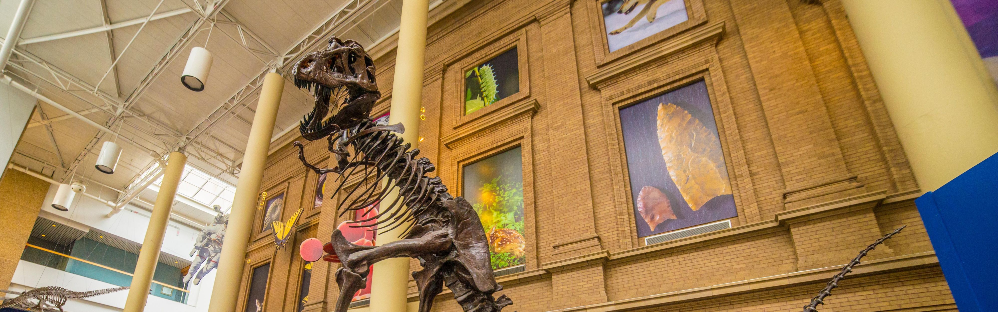 Dive into the wonders of the Denver Museum of Nature.