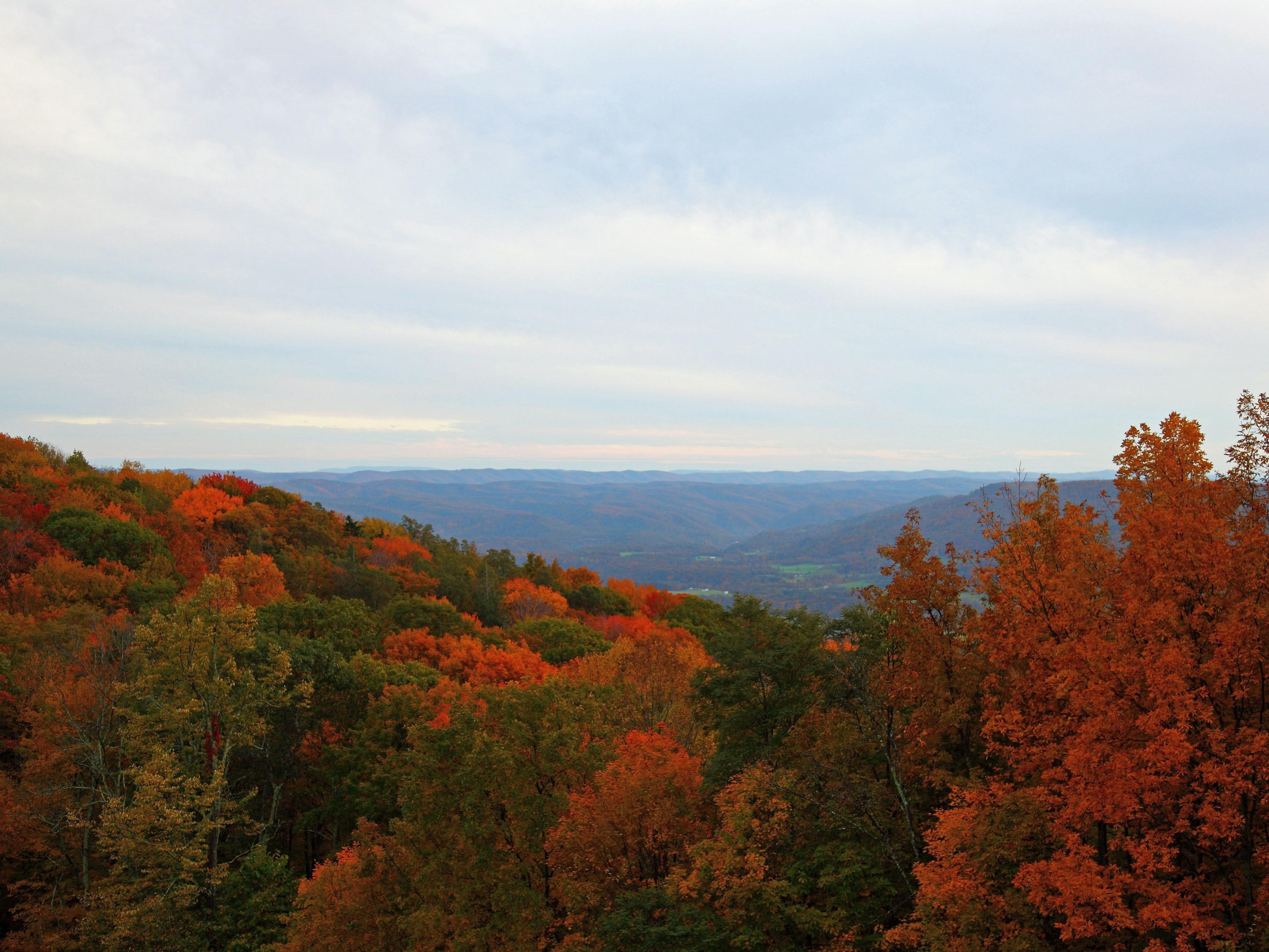 Just a short drive from the hotel, Kanawha State Forest offers a peaceful retreat into nature with its expansive trails, beautiful woodlands, and vibrant wildlife. Perfect for hiking, mountain biking, or simply enjoying a scenic picnic, this forest provides a refreshing escape from the bustle of the city and is perfect for outdoor enthusiasts! 