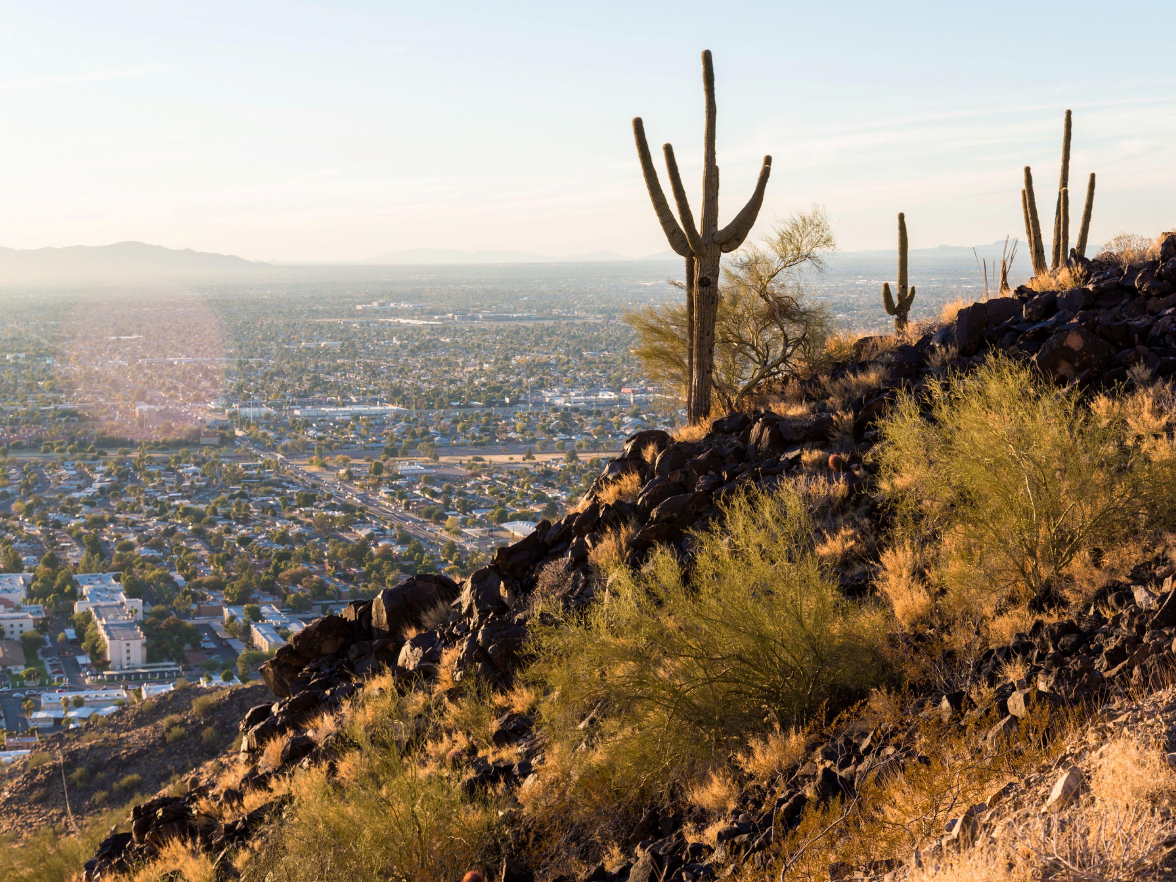 Hot days, cool nights, and desert views as far as the eye can see. From scenic hikes to stargazing skies, our hotel in Phoenix keeps you close to the beauty, offering a refreshing pool and warm hospitality every step of the way. Discover bold landscapes with IHG this summer.