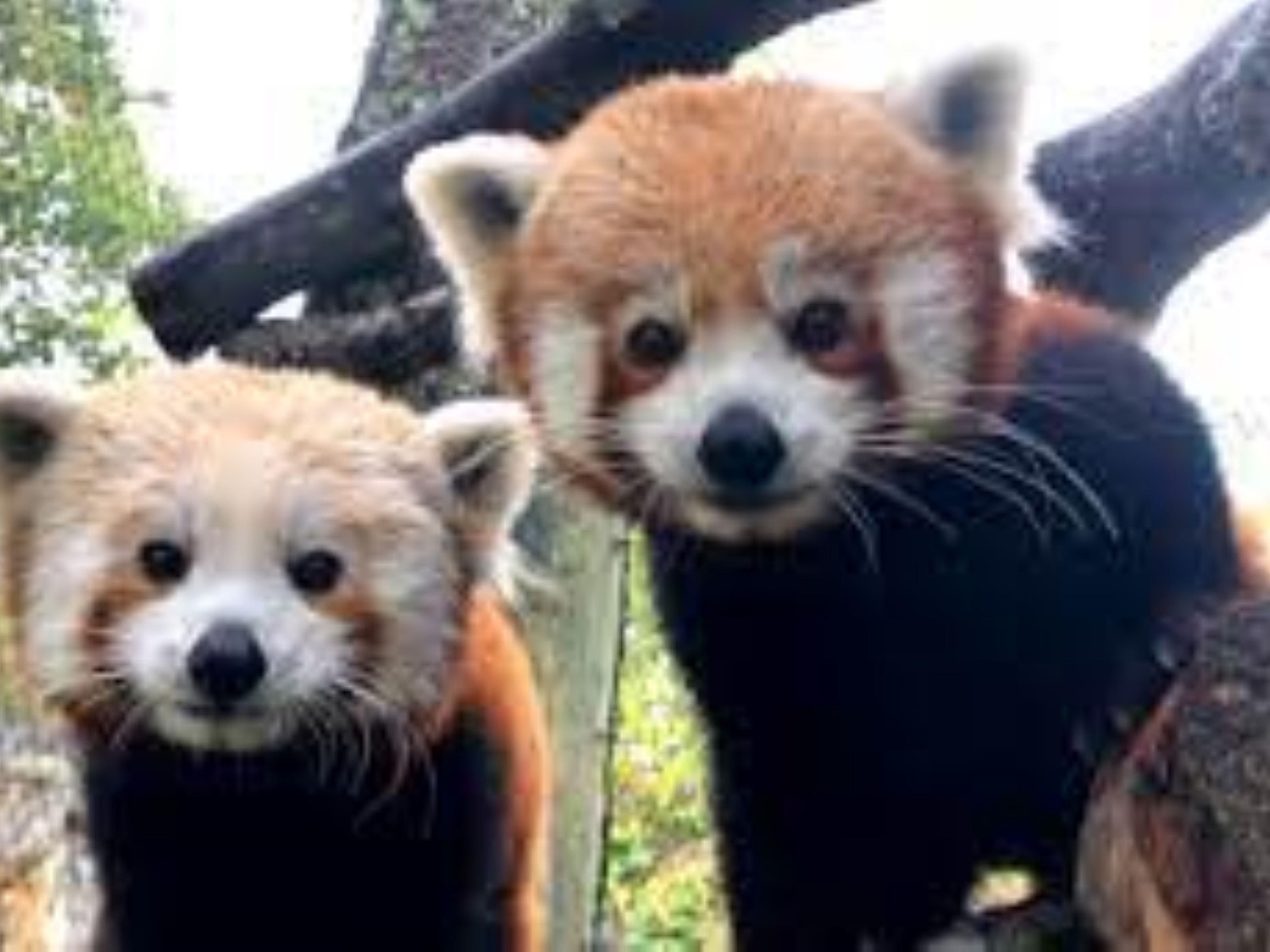 Stay with us and be sure to check out the Henry Vilas Zoo. Enjoy visiting the animals while learning about their history. Entry is free for everyone!