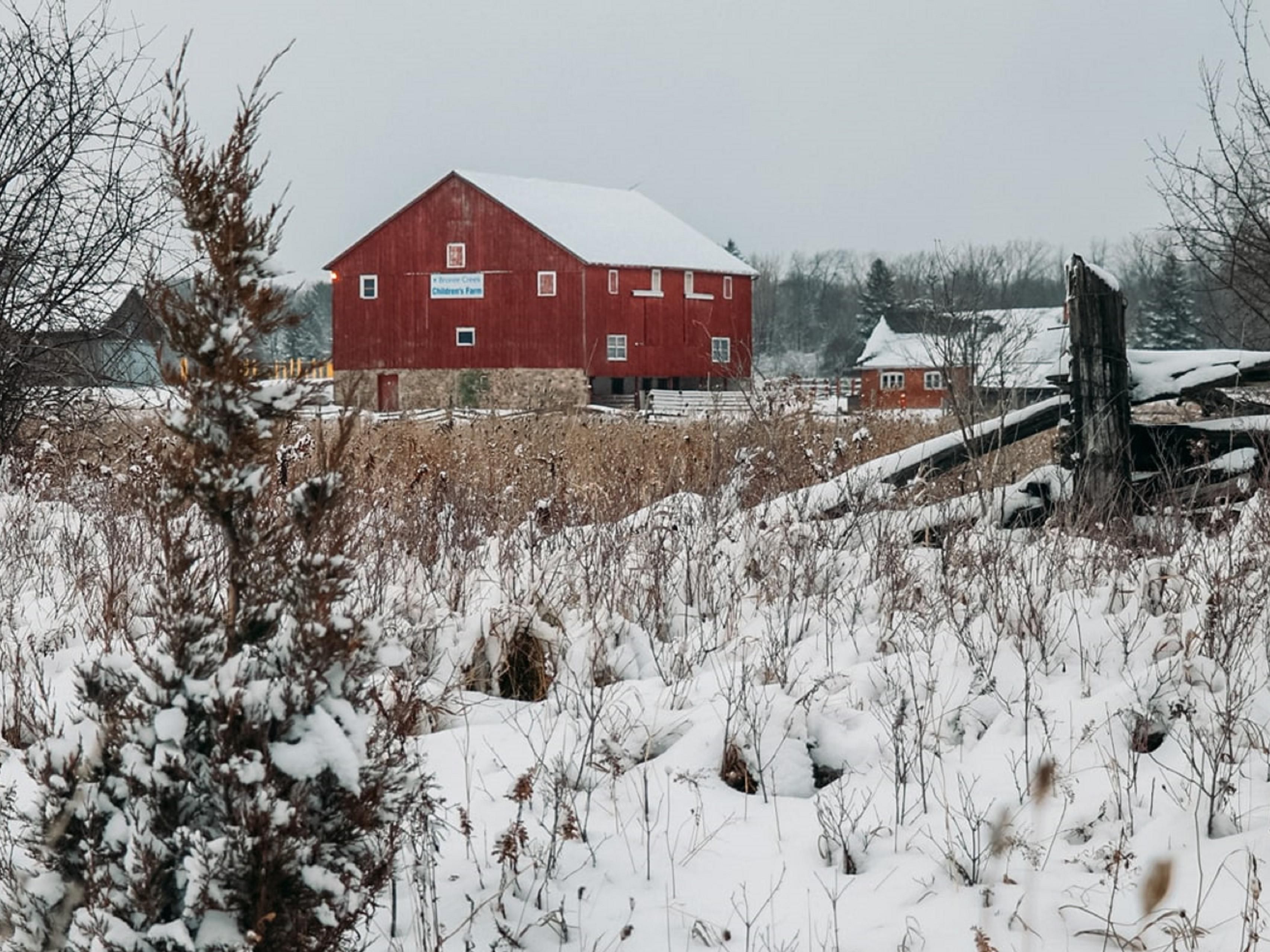 Perfect for children aged 10 and under, the Play Barn is a converted barn where kids can burn off energy in a fun and unique setting. Featuring climbing structures, slides, and interactive play areas, it’s an ideal indoor destination for families enjoying a winter visit to Bronte Creek Provincial Park.