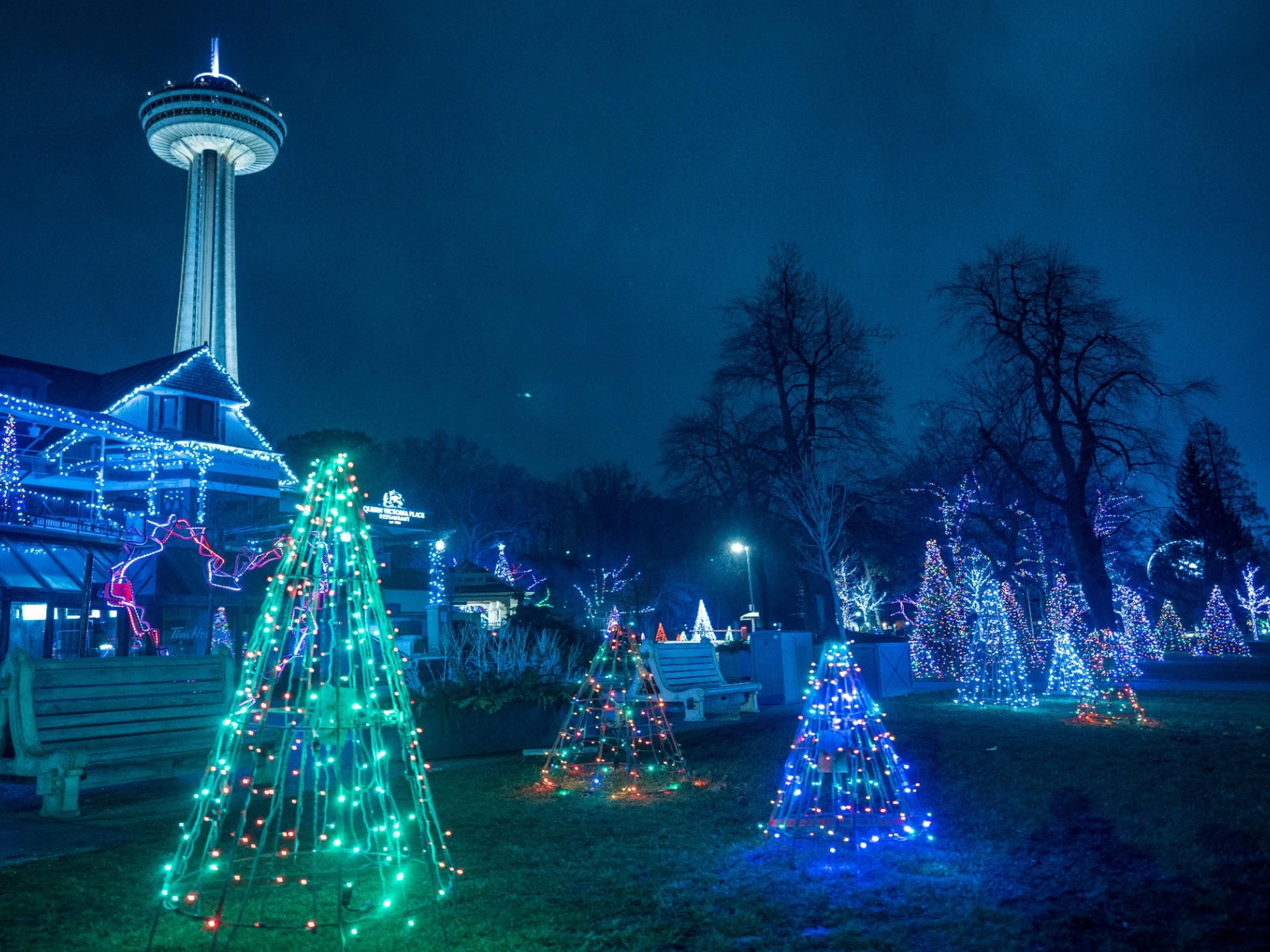 Embrace the season with dazzling light displays and cozy Icewine tastings. Stroll through twinkling lights in Niagara Falls at the Winter Festival of Lights, then sip world-class vintages at Niagara-on-the-Lake's Icewine Village. Both are just a short, scenic drive away from the comfort of our hotel in St. Catharines.