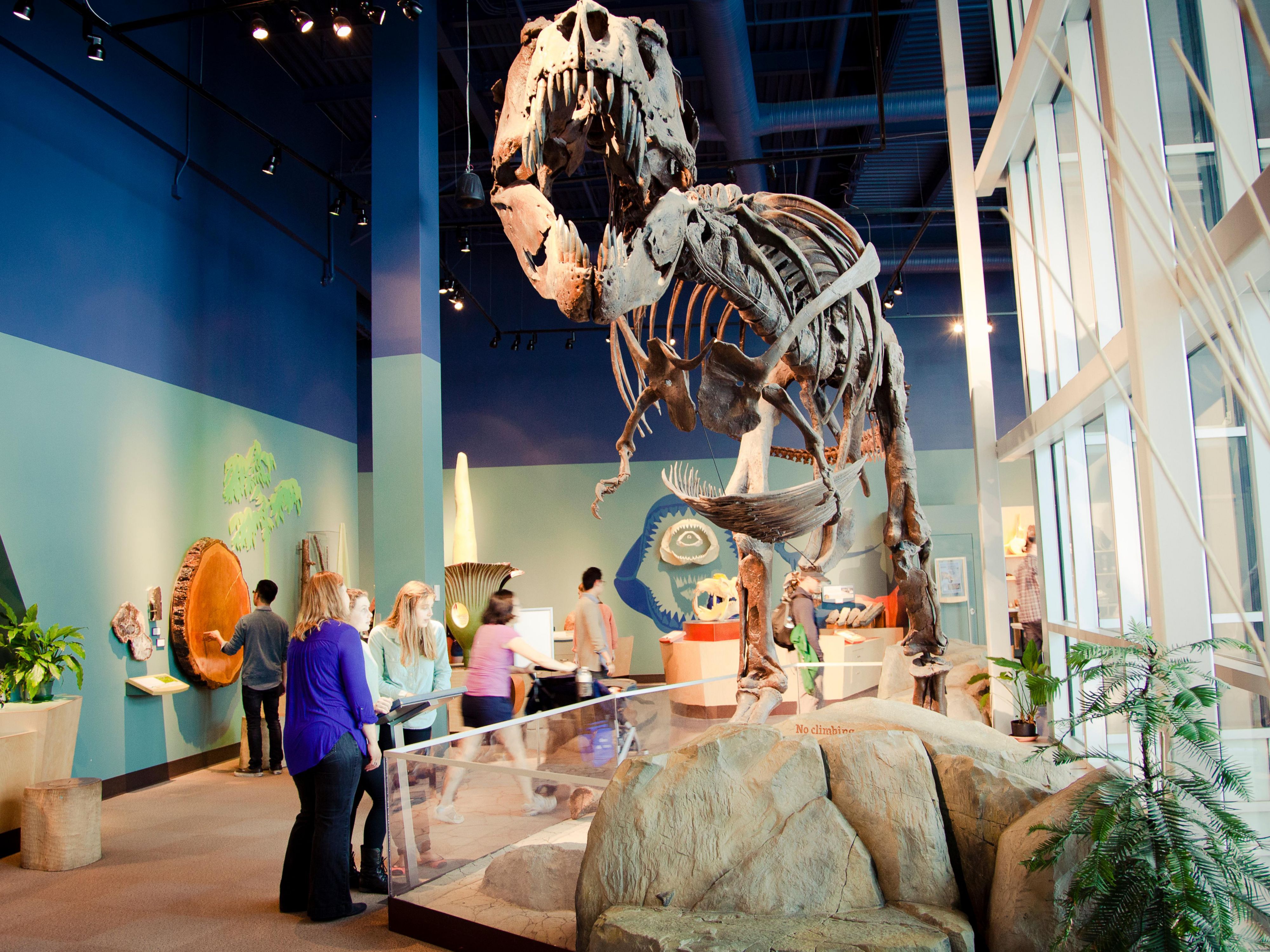 Experience family fun in Vancouver with nearby attractions like Science World, the Vancouver Aquarium at Stanley Park, and Granville Island’s Kids Market. Take a scenic Aquabus ride around False Creek for a playful day out, and don’t miss the Capilano Suspension Bridge Park, just a short drive away!