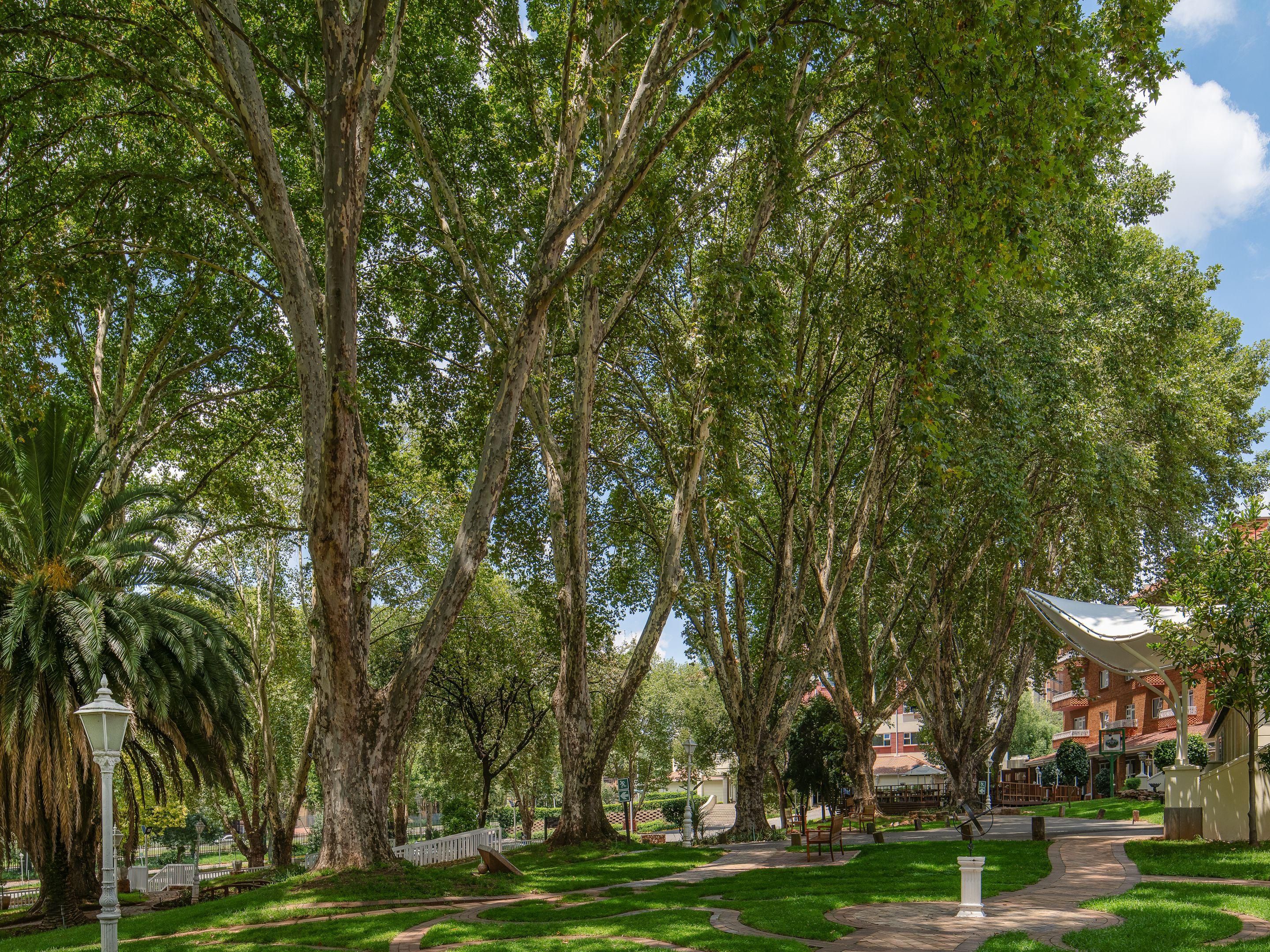 约翰内斯堡阳光公园假日酒店是约翰内斯堡最佳酒店之一，占地 4 英亩，处处都是郁郁葱葱的花园和百年老树。这里远离城市喧嚣，是全家休闲漫步或享受慵懒午后的理想之处。Milner's Restaurant 餐厅提供各类美味佳肴，让您在花园探险后能够享受美好的味蕾体验。