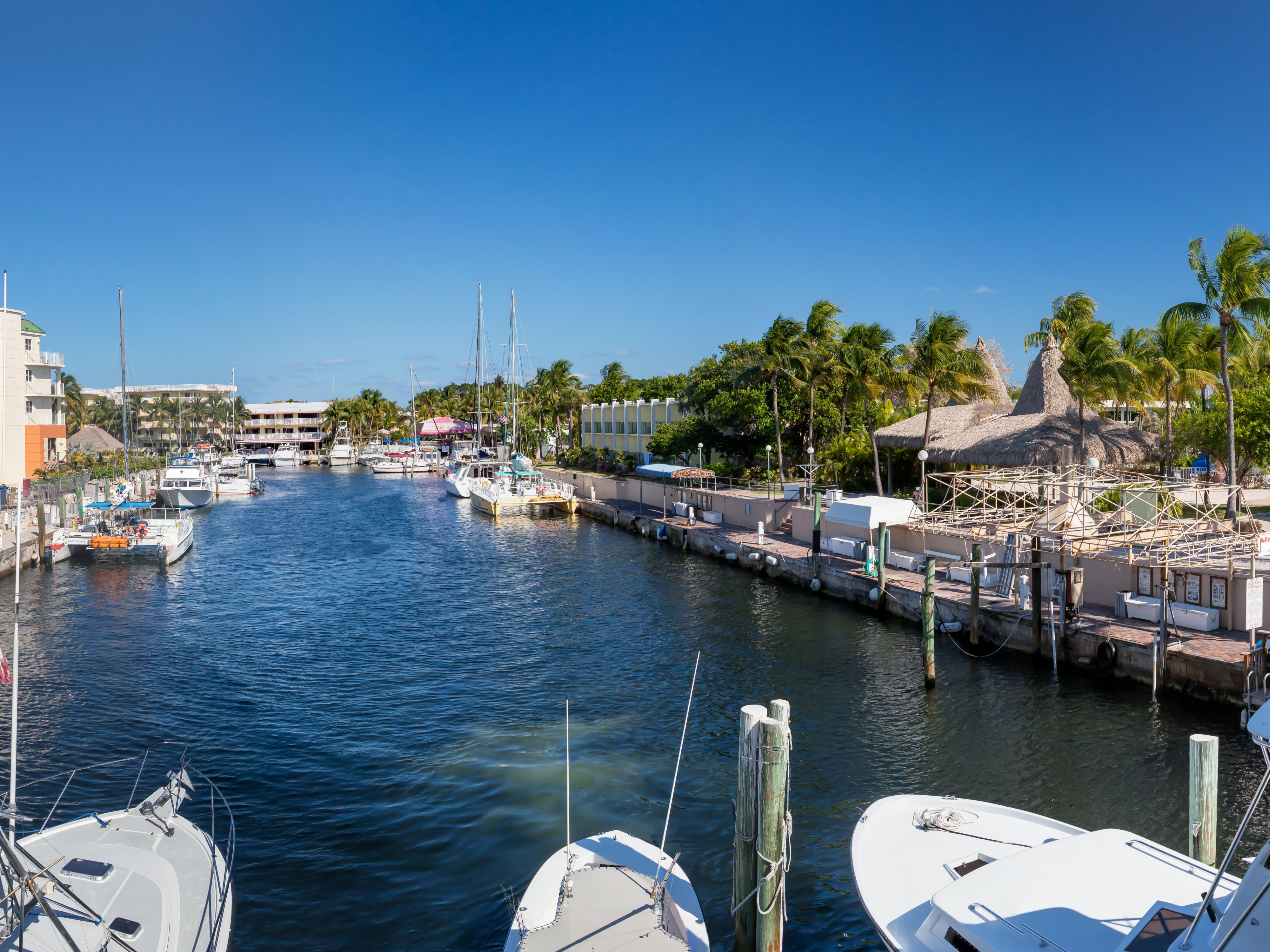 Located on Key Largo Marina which hosts several fishing, snorkel and dive boats, and the Key Largo Princess glass bottom boat. Also home to the African Queen boat from the famed 1951 movie!