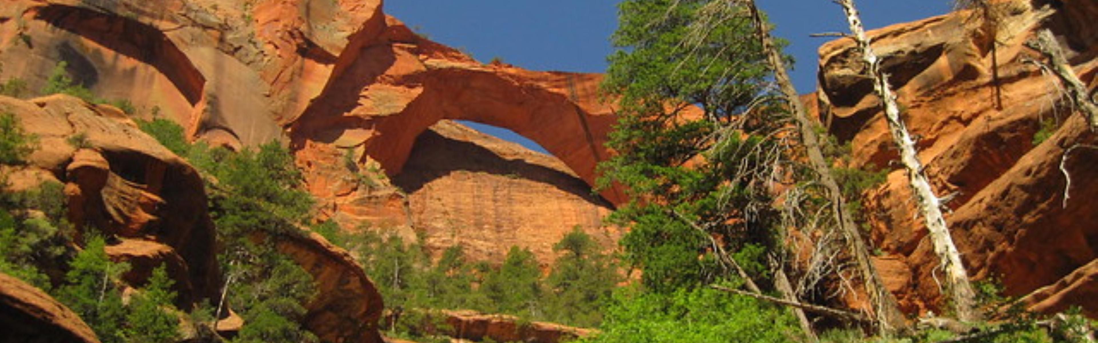 Explore the surrounding canyons and terrain throughout your stay.