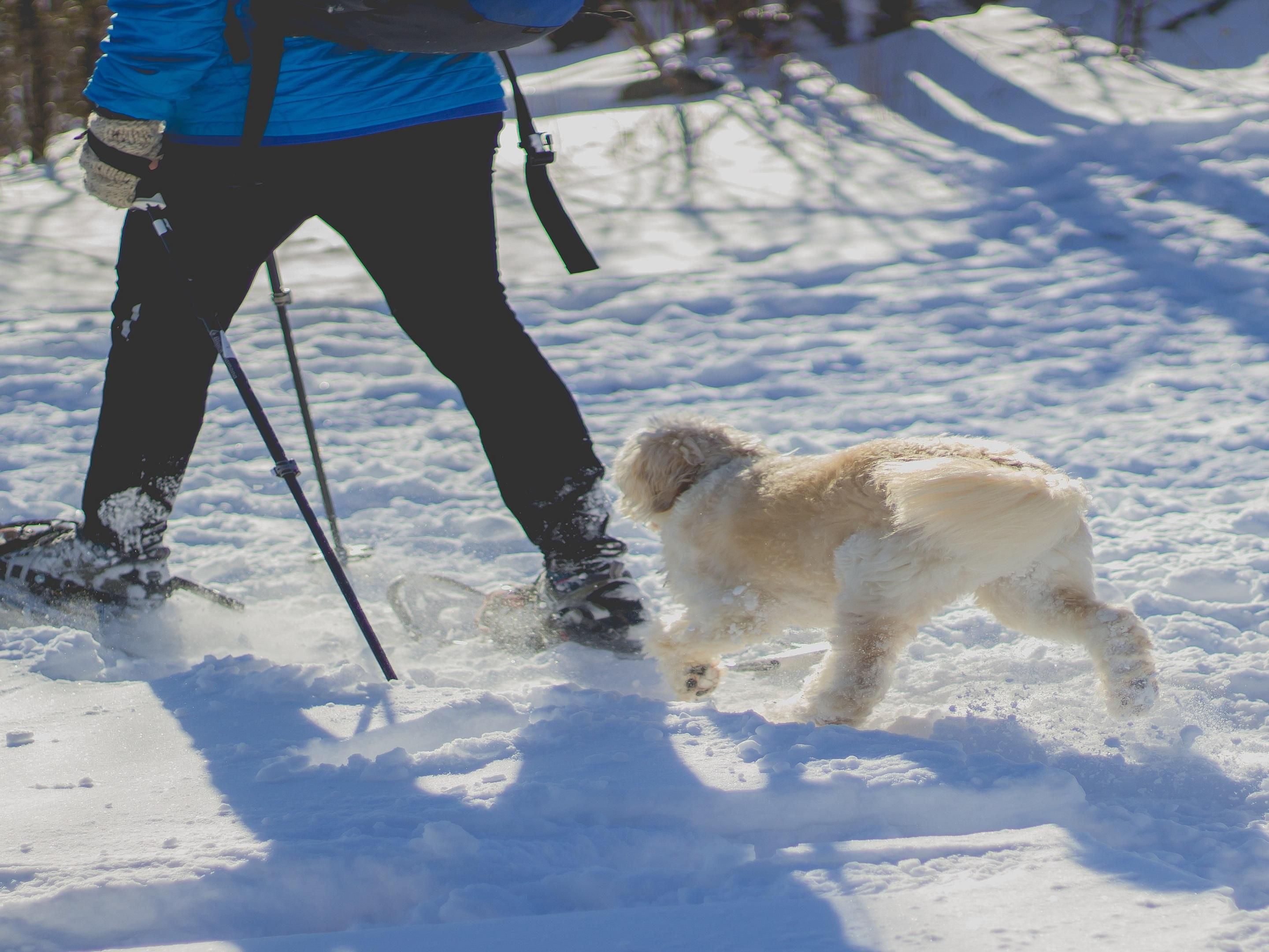 Traveling to Denver? Bring your furry friend along! Our pet-friendly rooms on the 2nd floor are perfect for you and your pooch to relax in comfort. Enjoy nearby parks, trails, and pet-friendly spots while staying with us. We welcome your four-legged companions—because adventures are better together! *Pet fees apply.