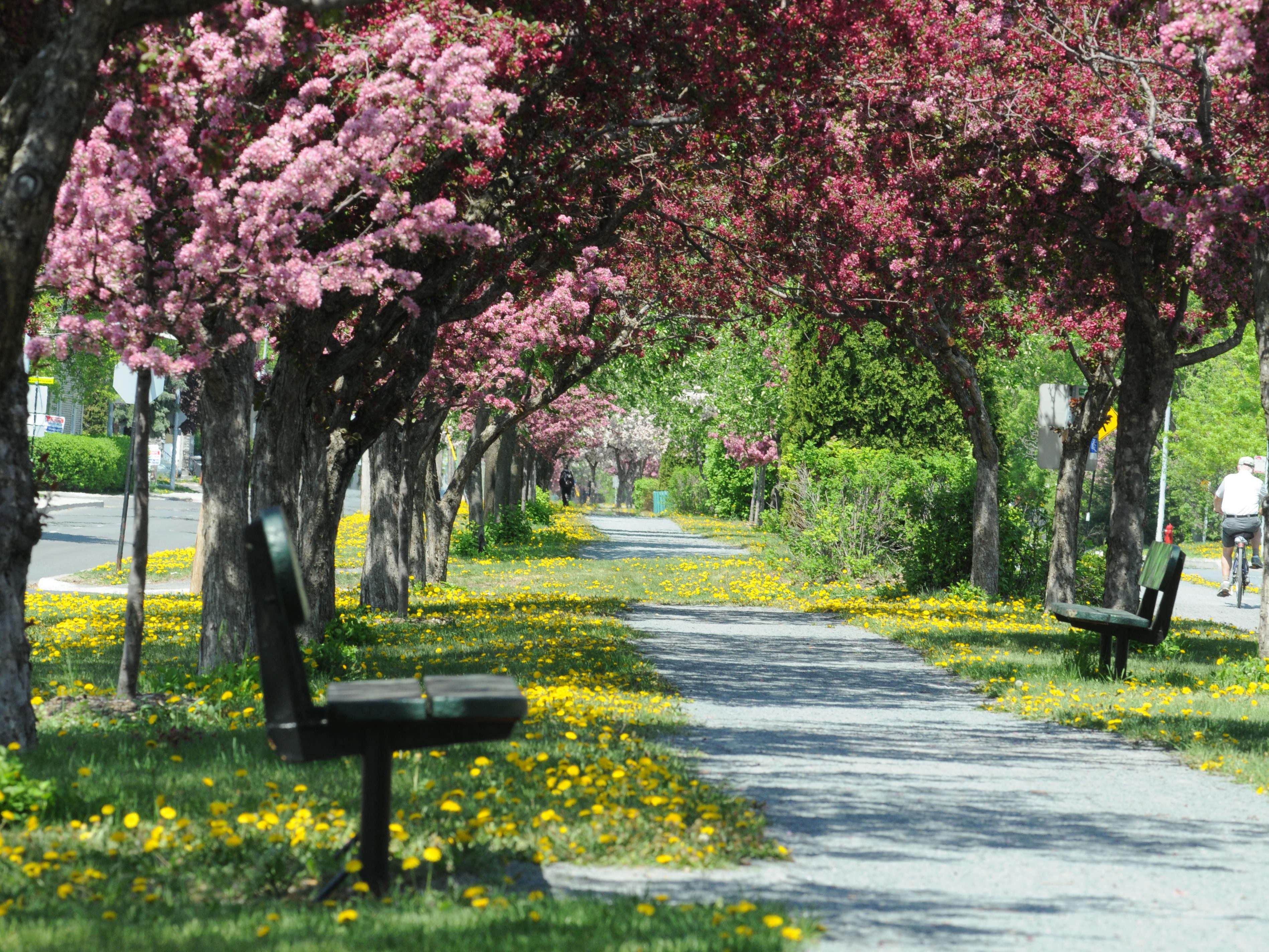 Covering an area of ​​1,850,000 square meters, Michel-Chartrand Park is recognized as a regional park. Open 365 days a year, this privileged site includes a conservation area and offers the opportunity to enjoy numerous outdoor activities.