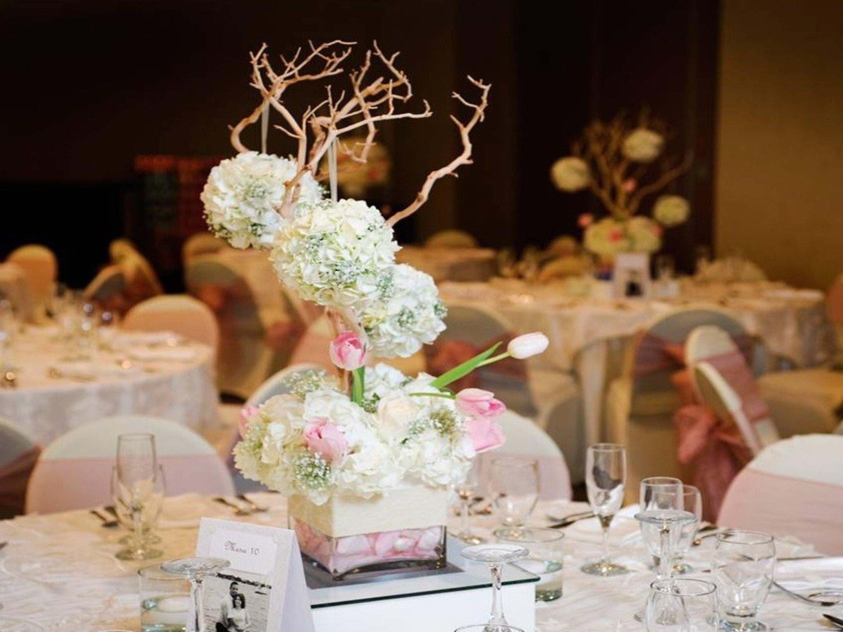 Get married in one of the most unique ways possible, ensuring that you and your guests will treasure the memory of your big day forever. Our events space is over 3,000 square feet and our professional staff will provide nothing but the best service for a memorable event. Call our sales team today to make your booking.