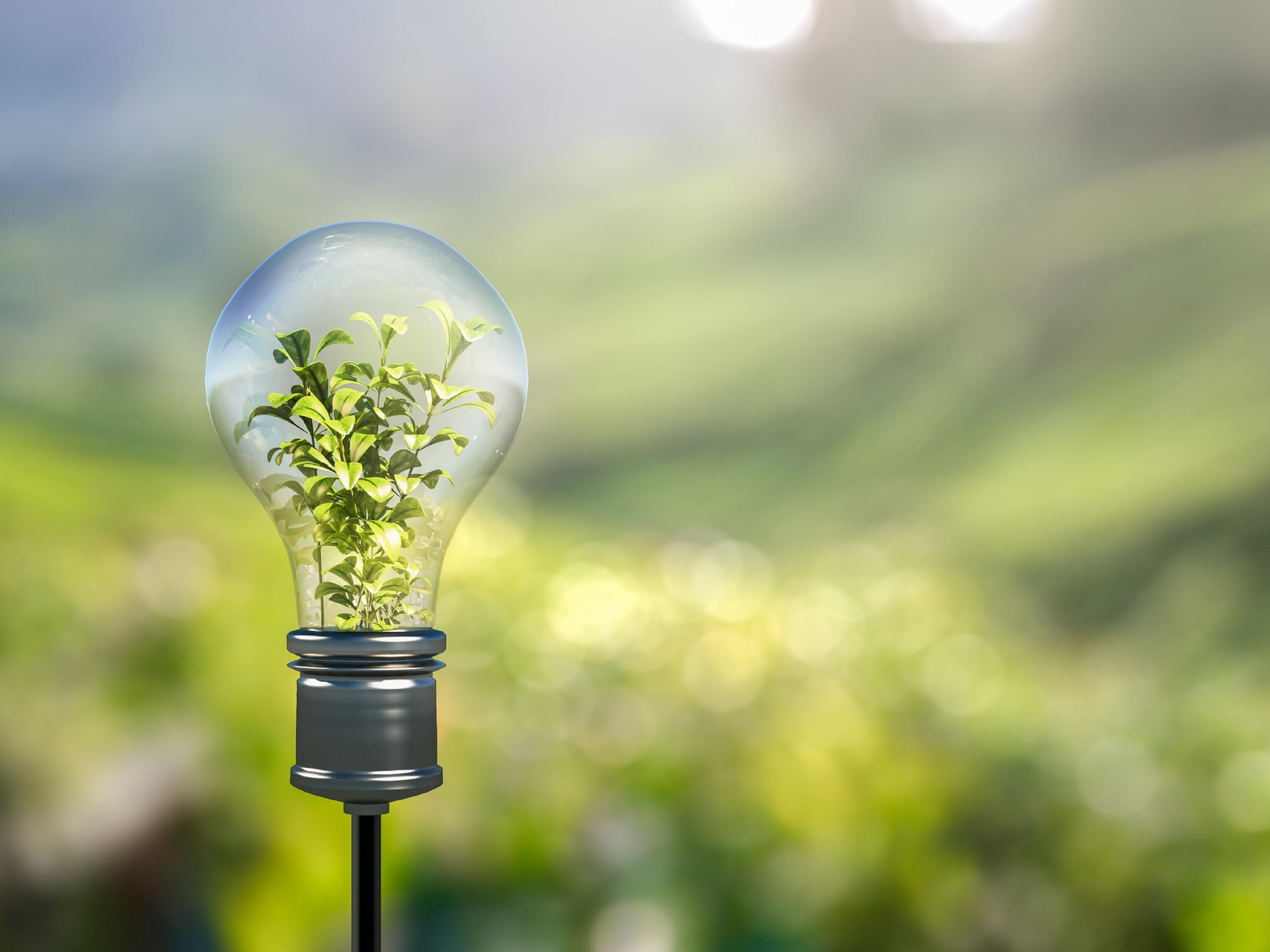 We understand the importance of your job. Let us provide you with a good rest to power through your day. Business travelers enjoy proximity to Perry Nuclear Power Plant. Learn more about our special rates, including breakfast.