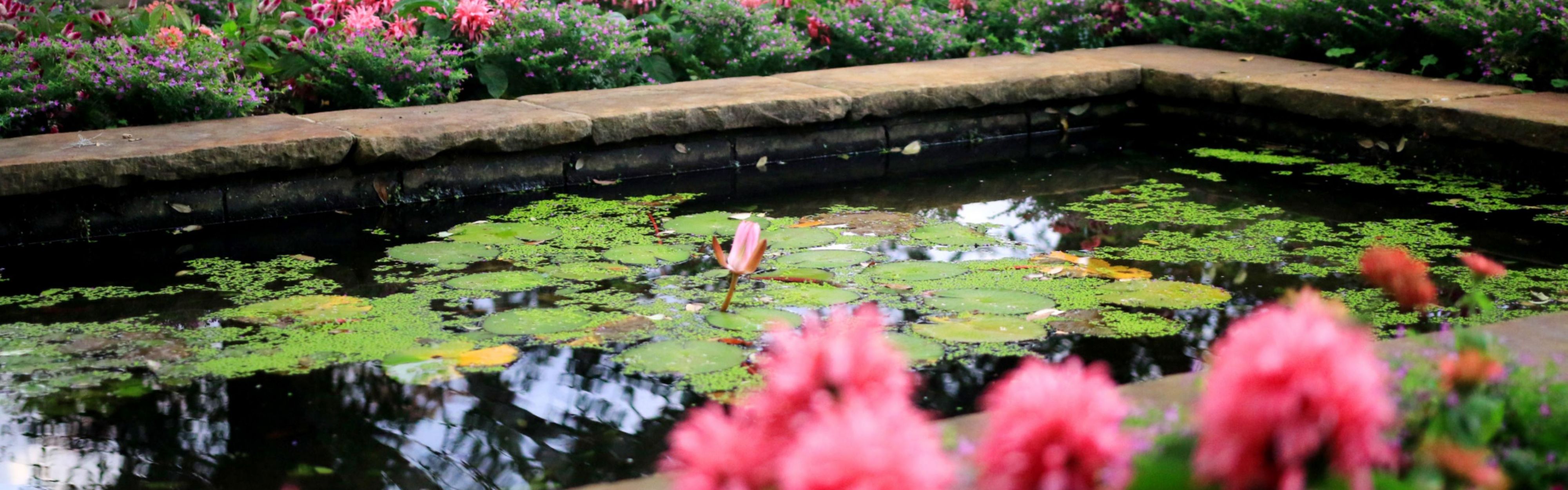 Bellingrath Gardens and Home