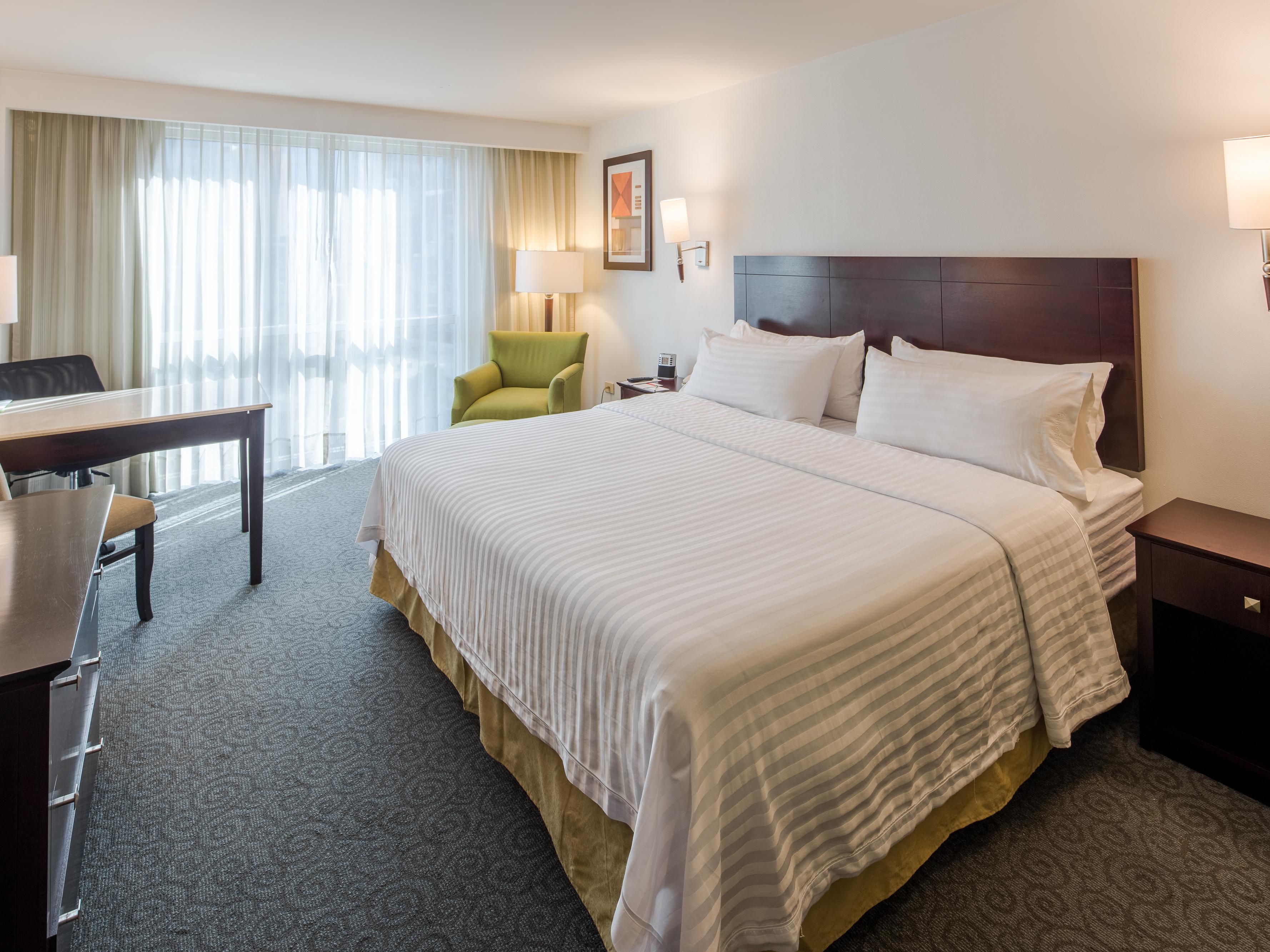 Habitación Estándar Sencilla No Fumar