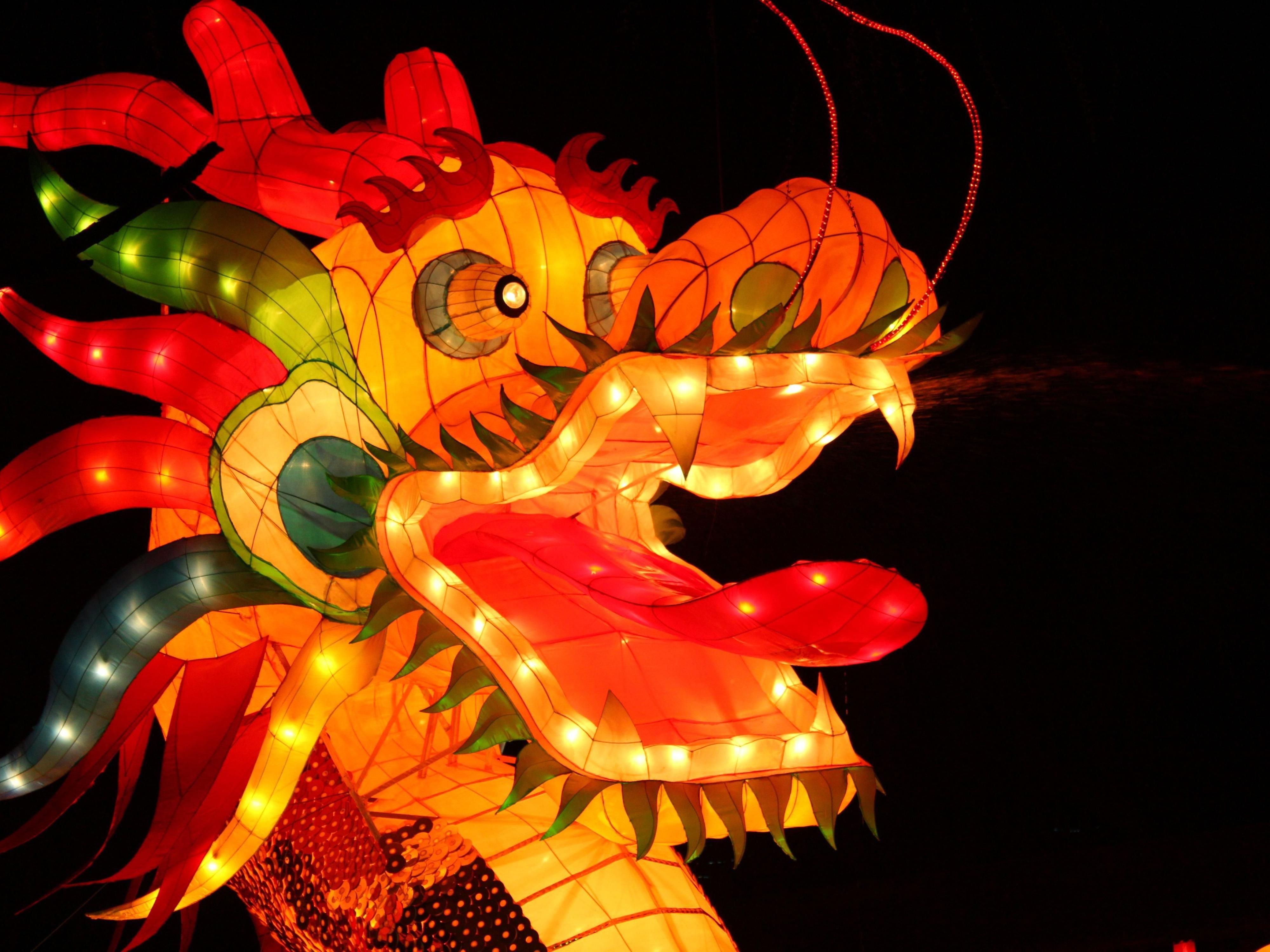 After an enchanting evening among glowing lanterns, come back to the familiar comfort of Holiday Inn. We're the perfect place to gather with loved ones and share the magic of the NC Chinese Lantern Festival. Relax and recharge with us, because we're here so you can create lasting memories together.